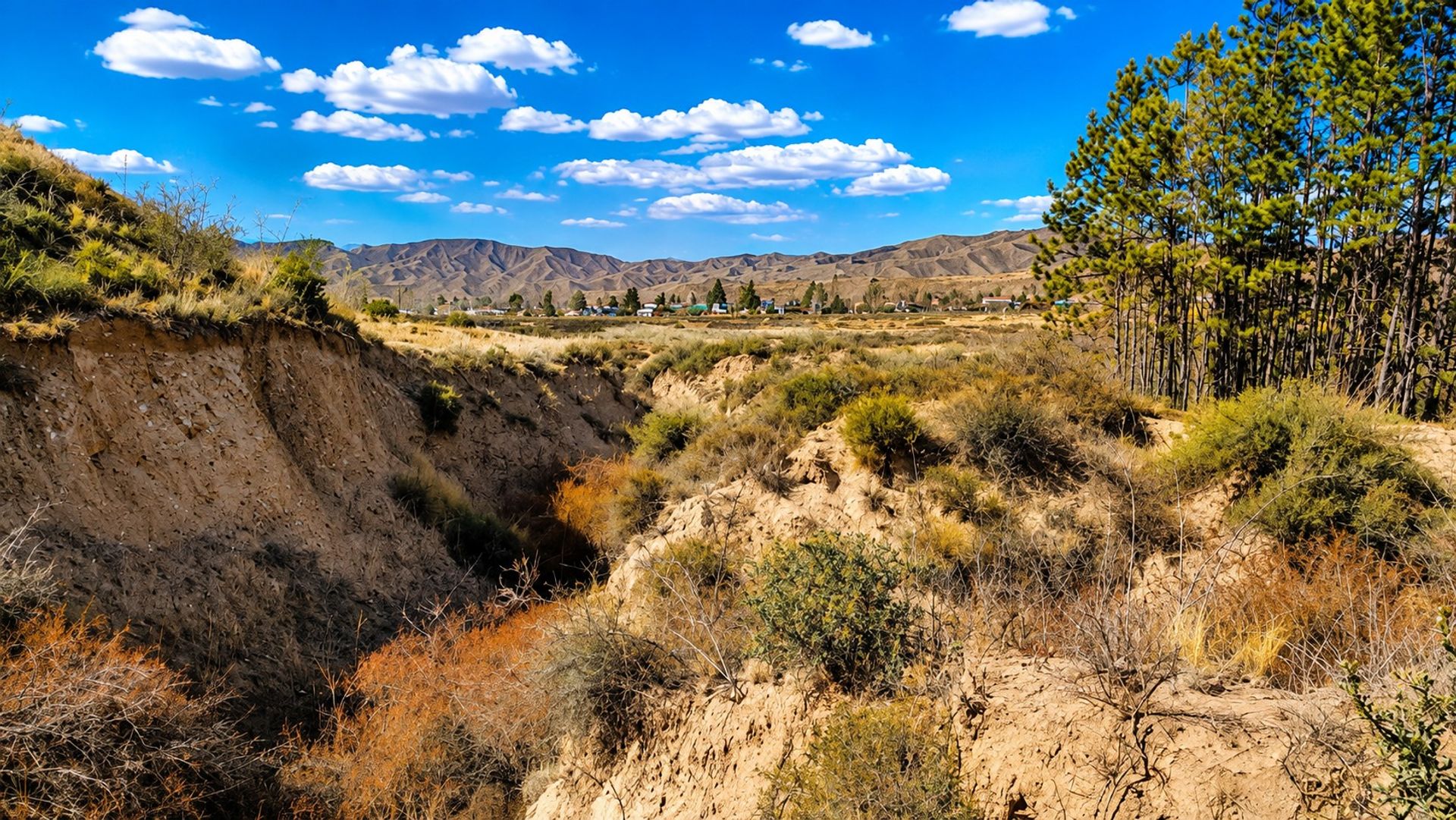 Lote en Venta en Lujan de Cuyo, Mendoza