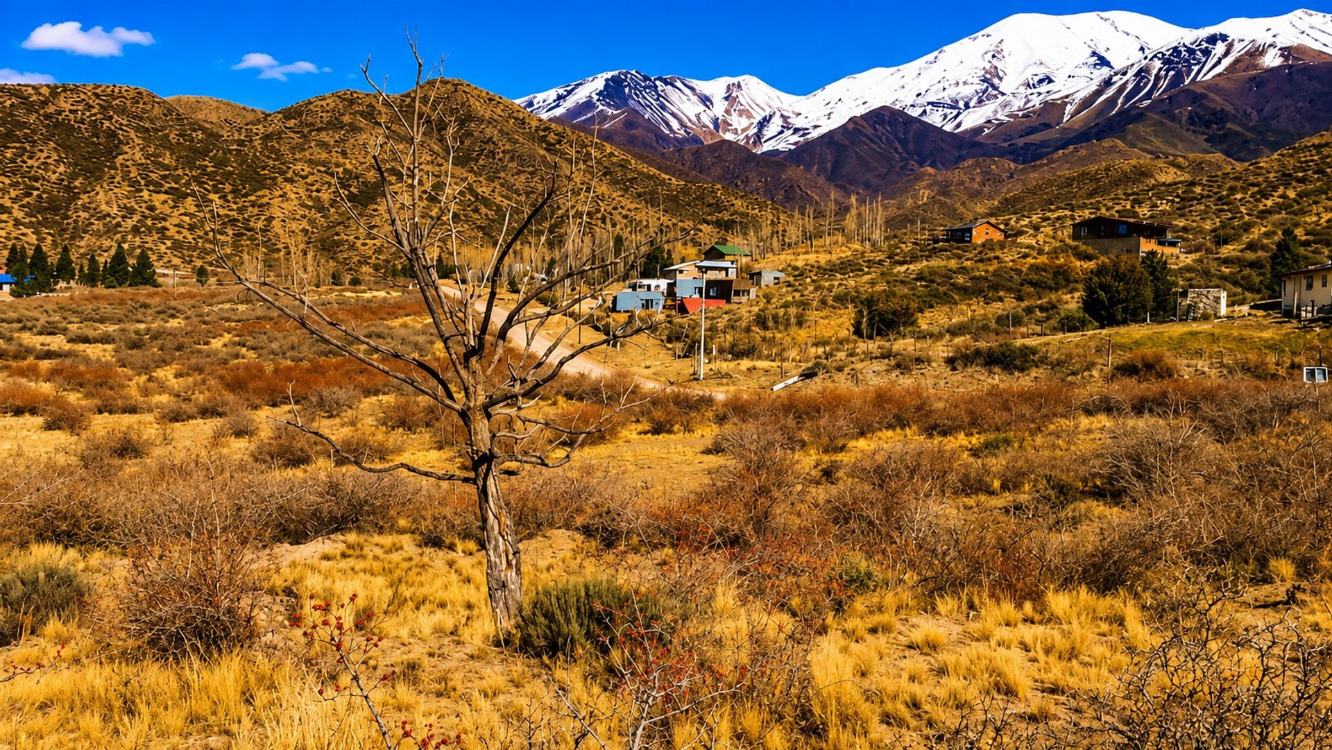 Lote en Venta en Lujan de Cuyo, Mendoza