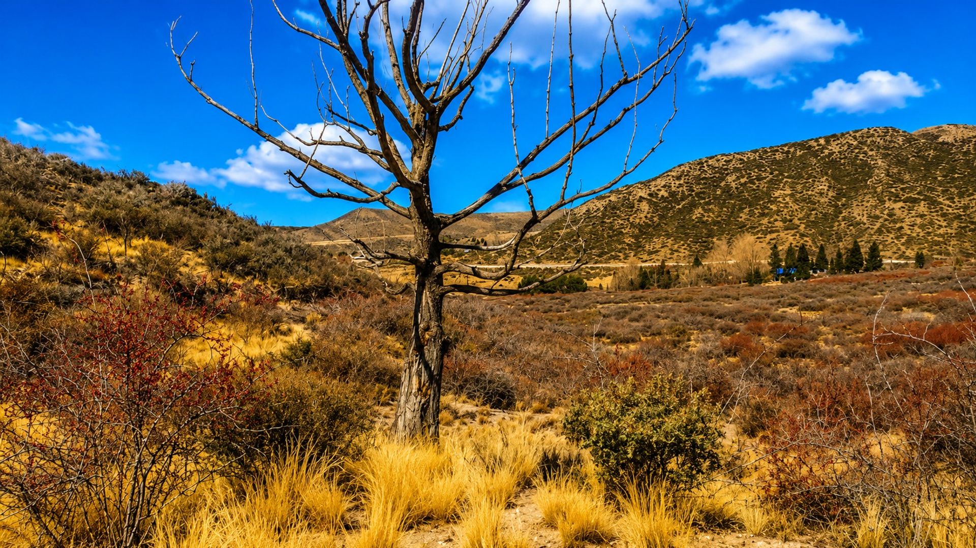 Lote en Venta en Lujan de Cuyo, Mendoza