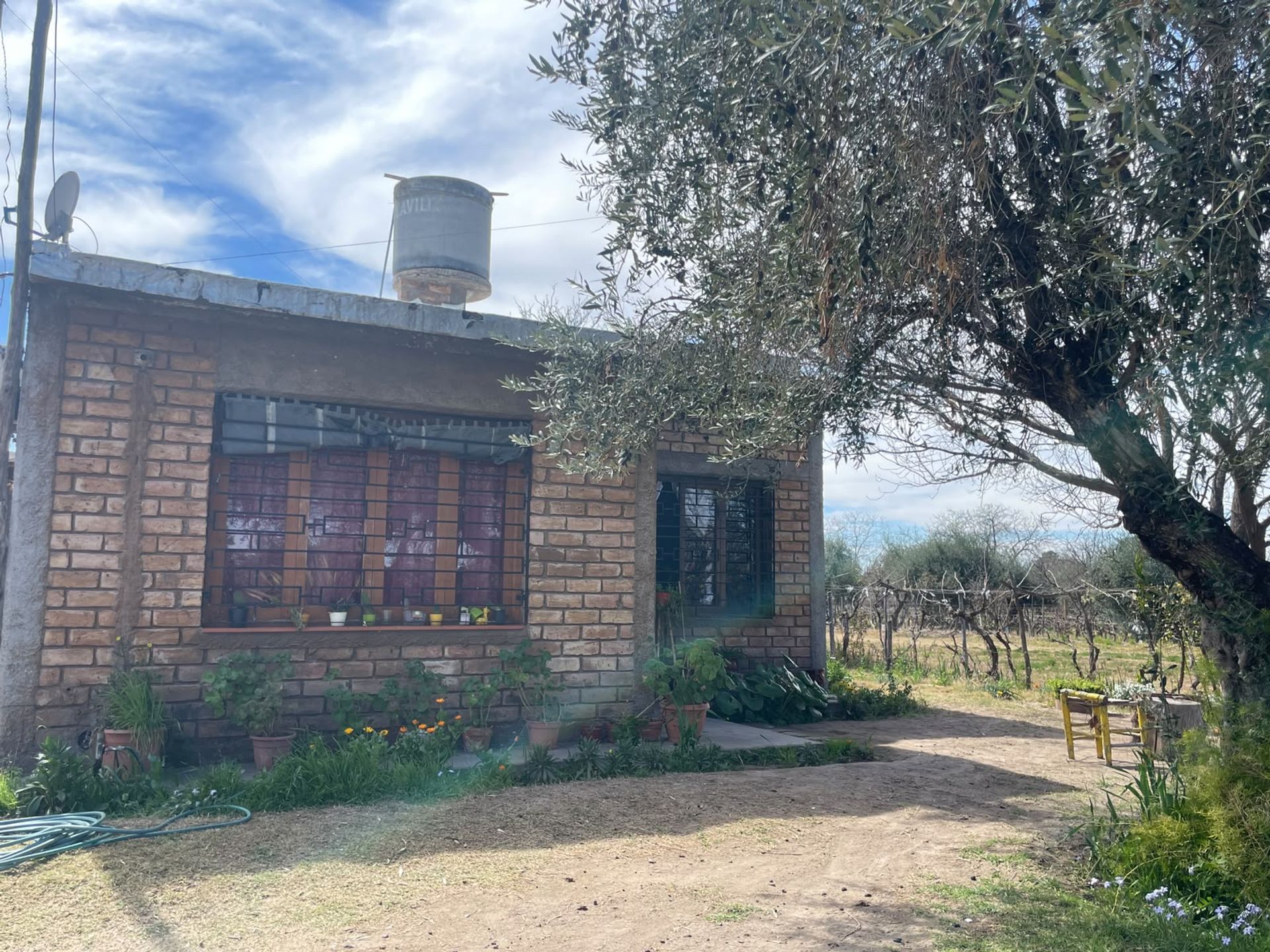 Casa en Venta en Rivadavia, Mendoza