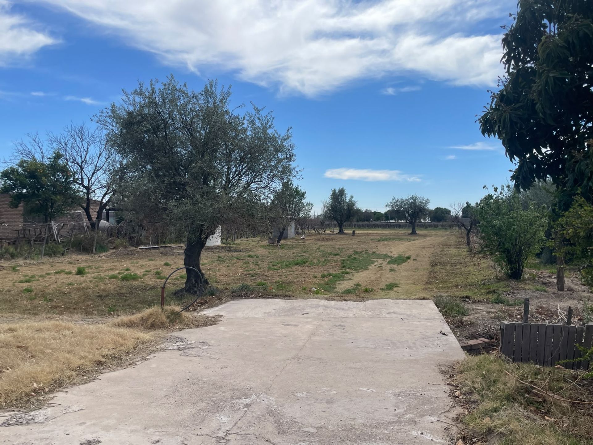 Casa en Venta en Rivadavia, Mendoza