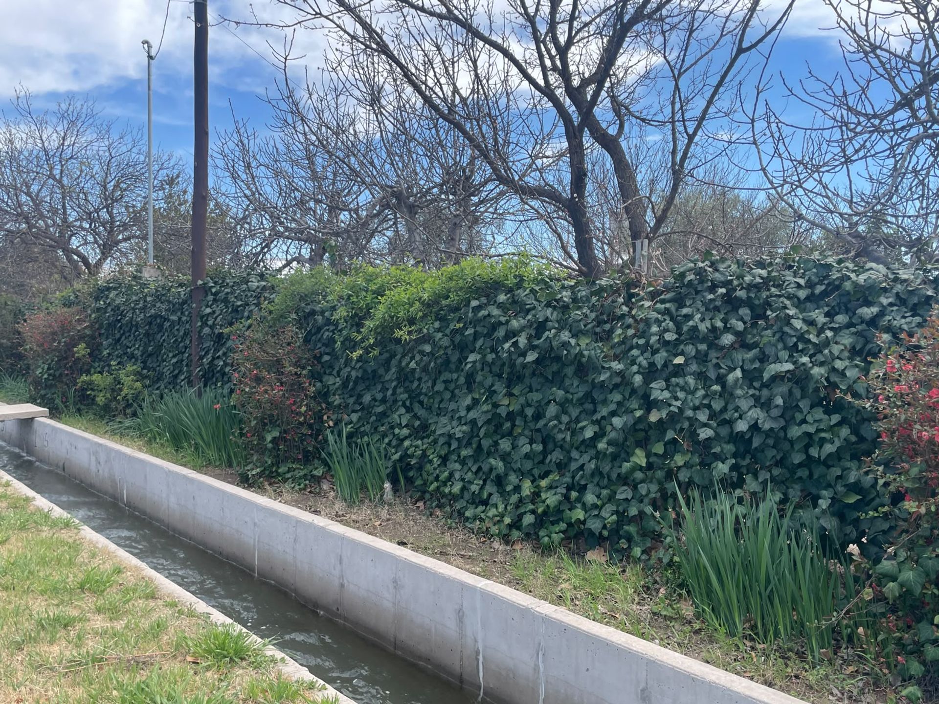 Casa en Venta en Rivadavia, Mendoza