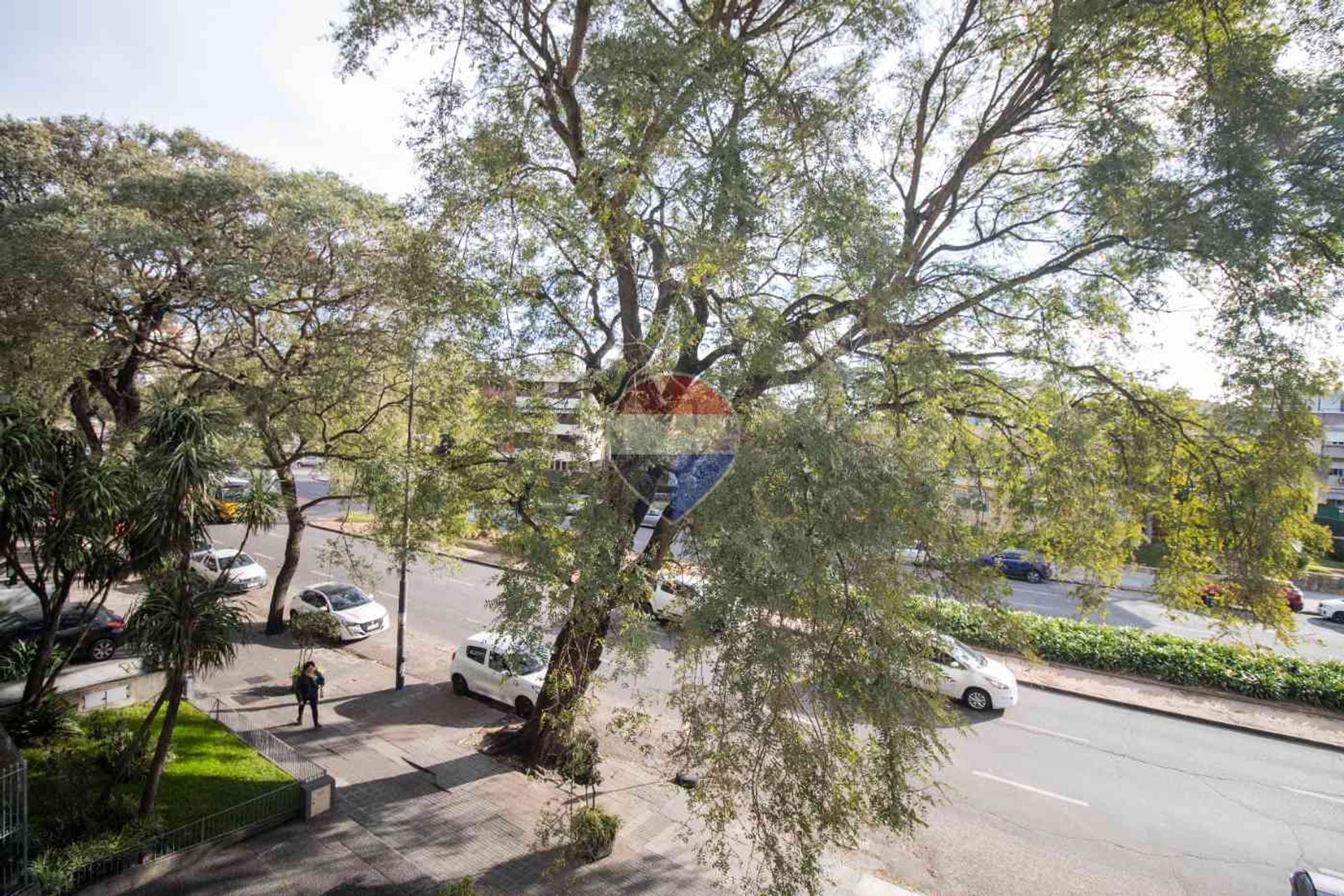 VENTA APARTAMENTO 2 DORMITORIOS Y SERV PARQUE RODÓ - 3