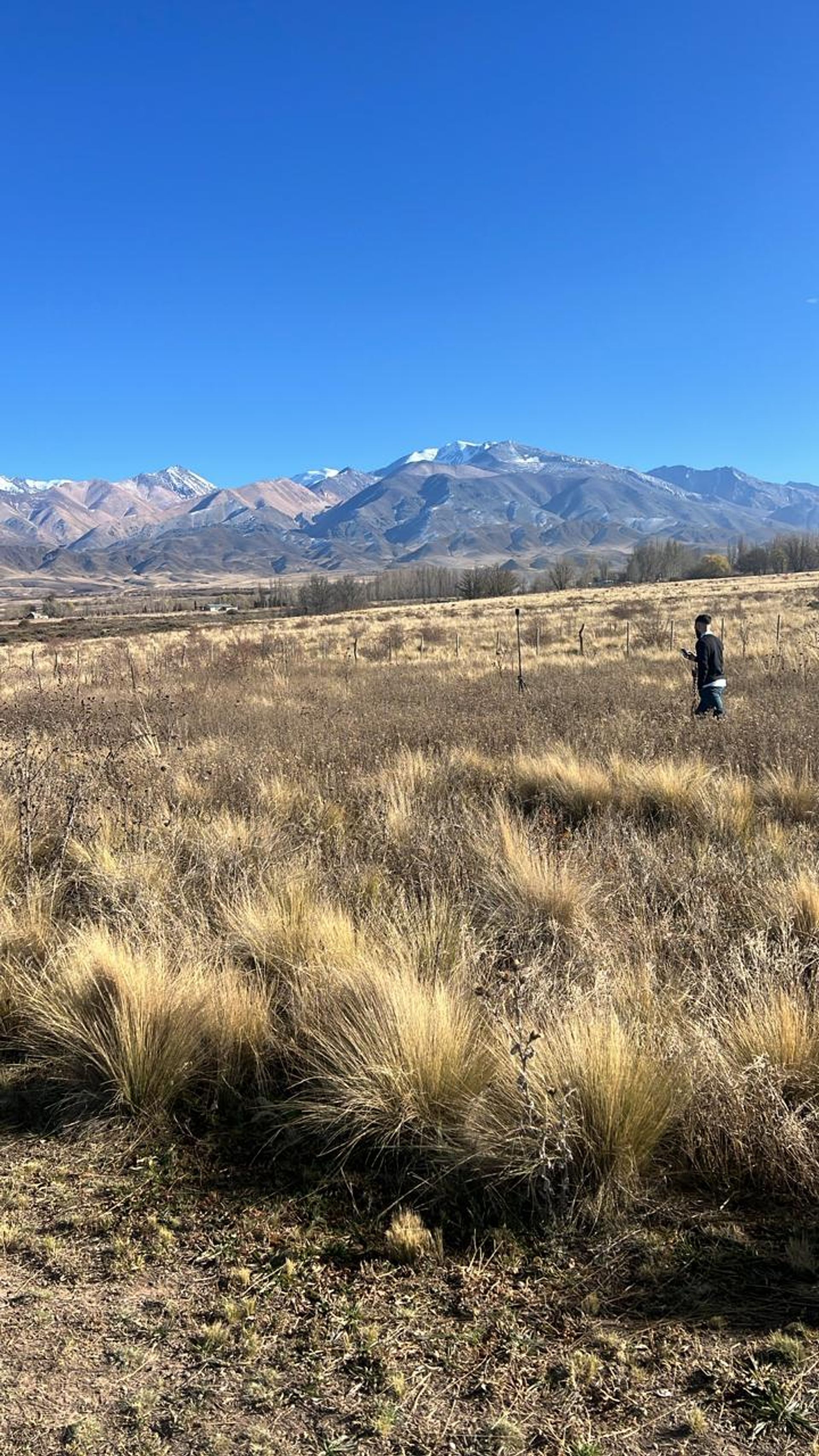 Lote en Venta en Tupungato, Mendoza - USD 40.000 | Inmoup - 8