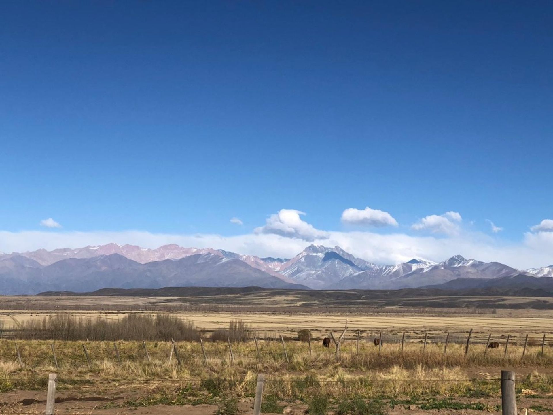 Tupungato Ruta 89 S/N