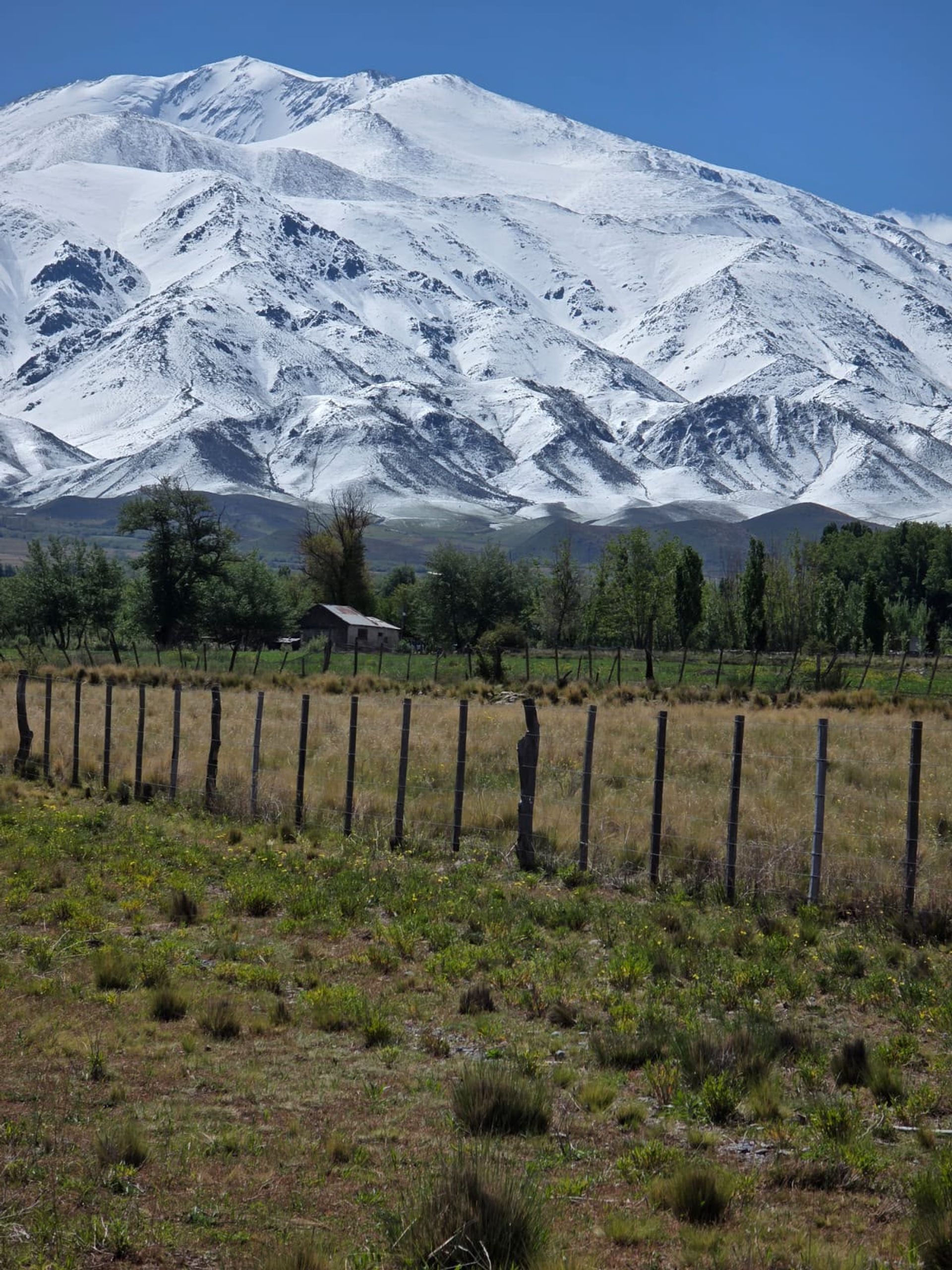 Lote en Venta en Tupungato, Mendoza - USD 40.000 | Inmoup - 9