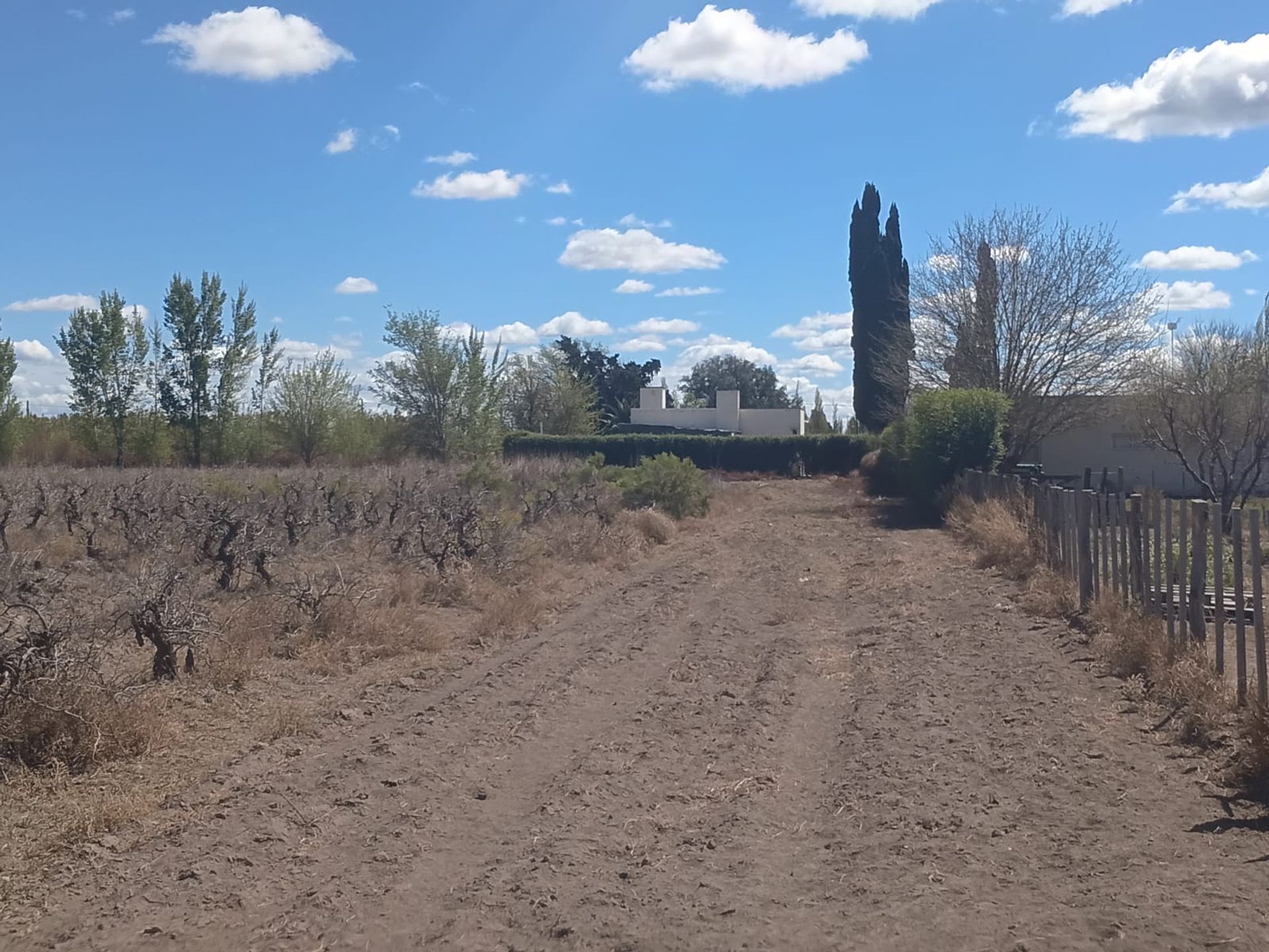 Lote en Venta en General alvear, Mendoza