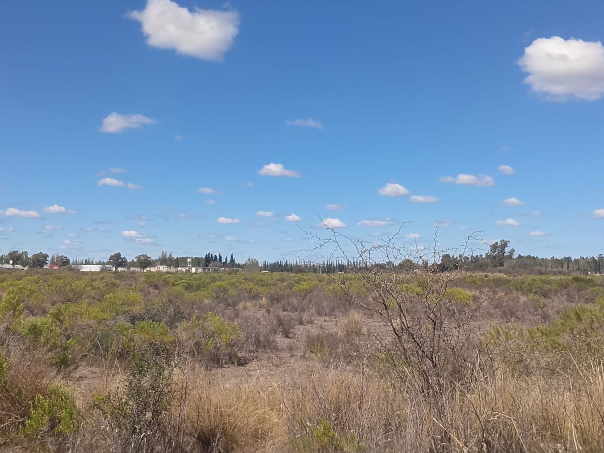 Lote en Venta en General alvear, Mendoza