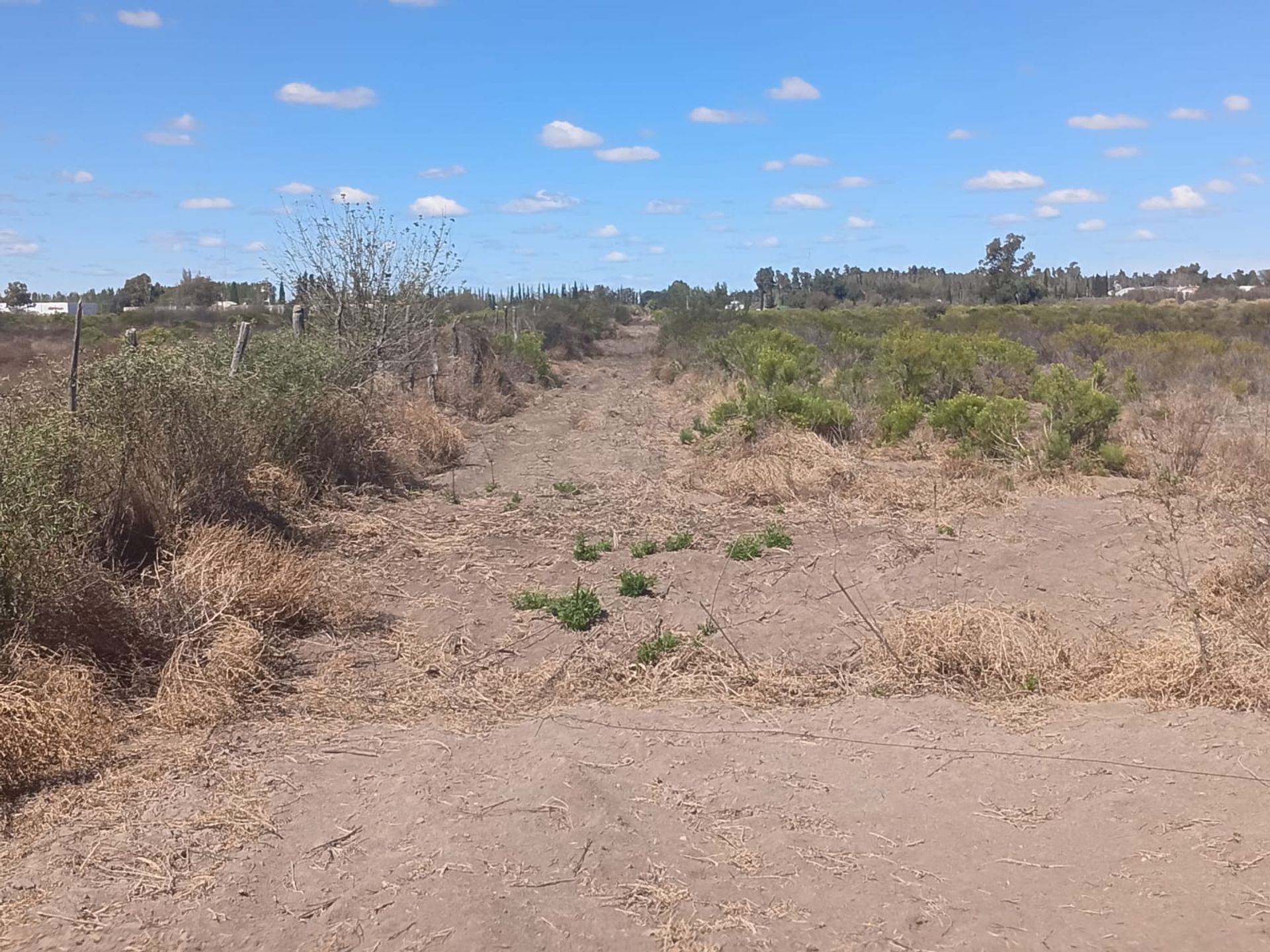 Lote en Venta en General alvear, Mendoza