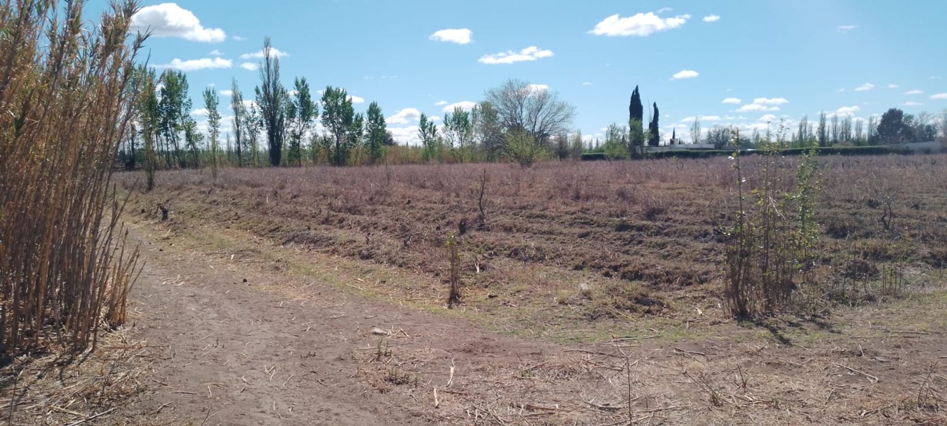 Lote en Venta en General alvear, Mendoza