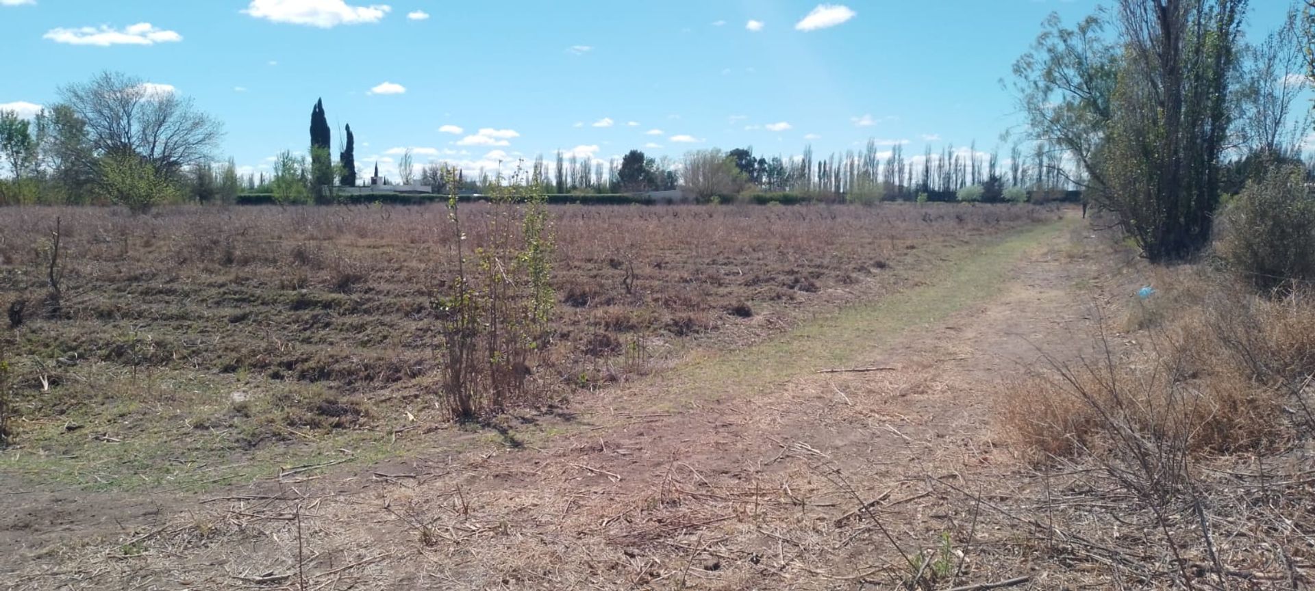 Lote en Venta en General alvear, Mendoza