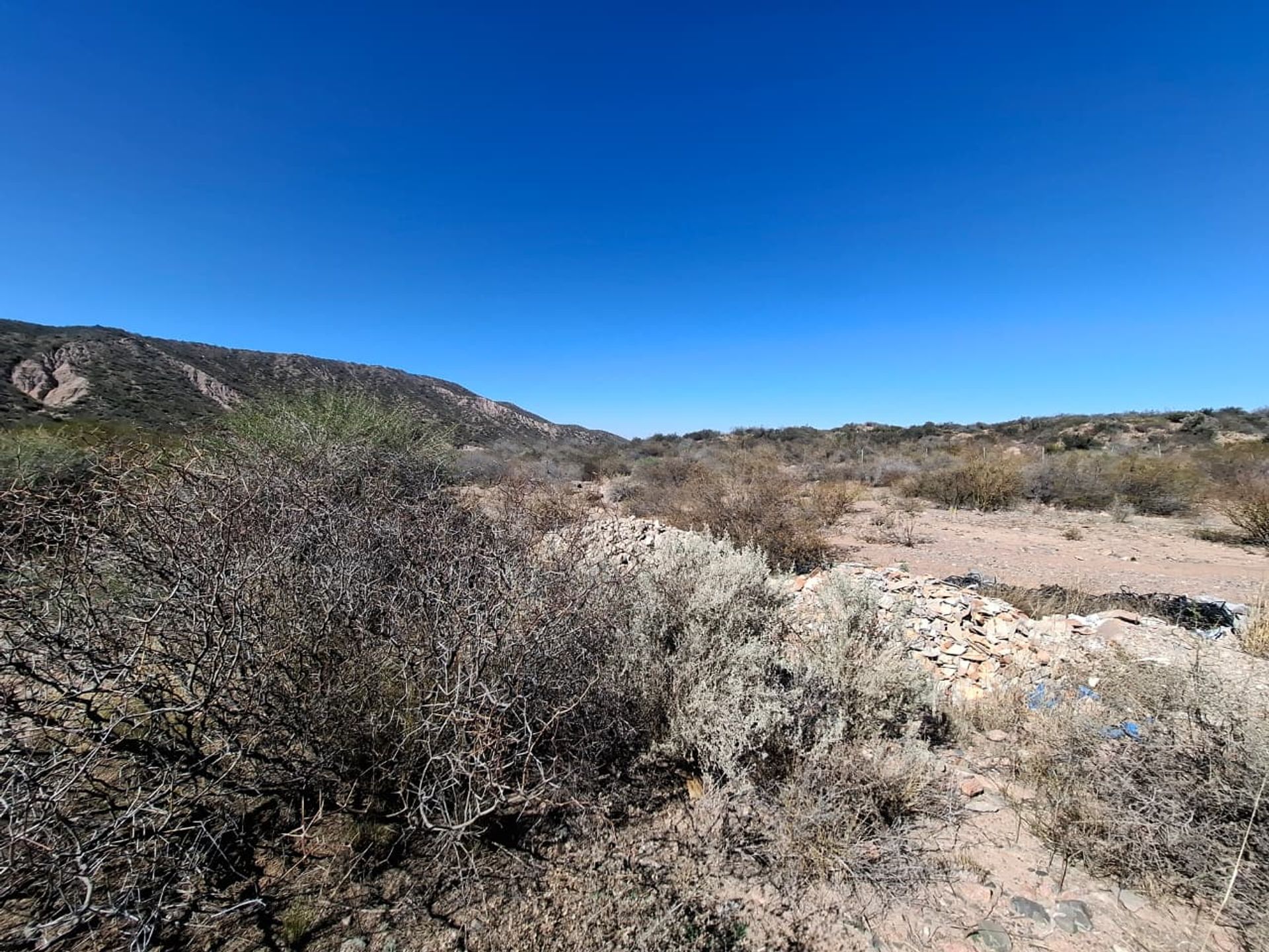 Lote en Venta en Lujan de Cuyo, Mendoza