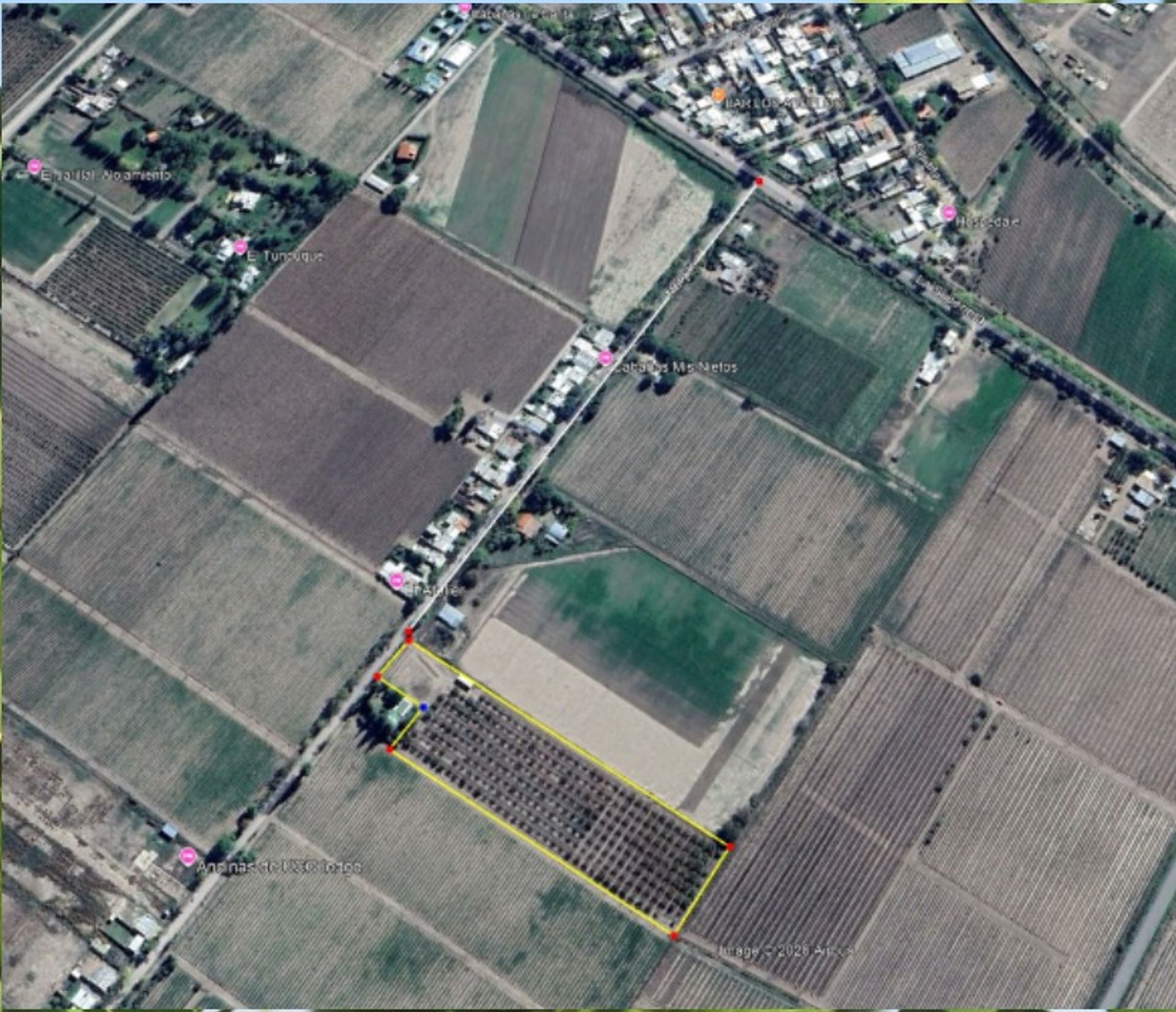 Campo en Venta en San Carlos, Mendoza