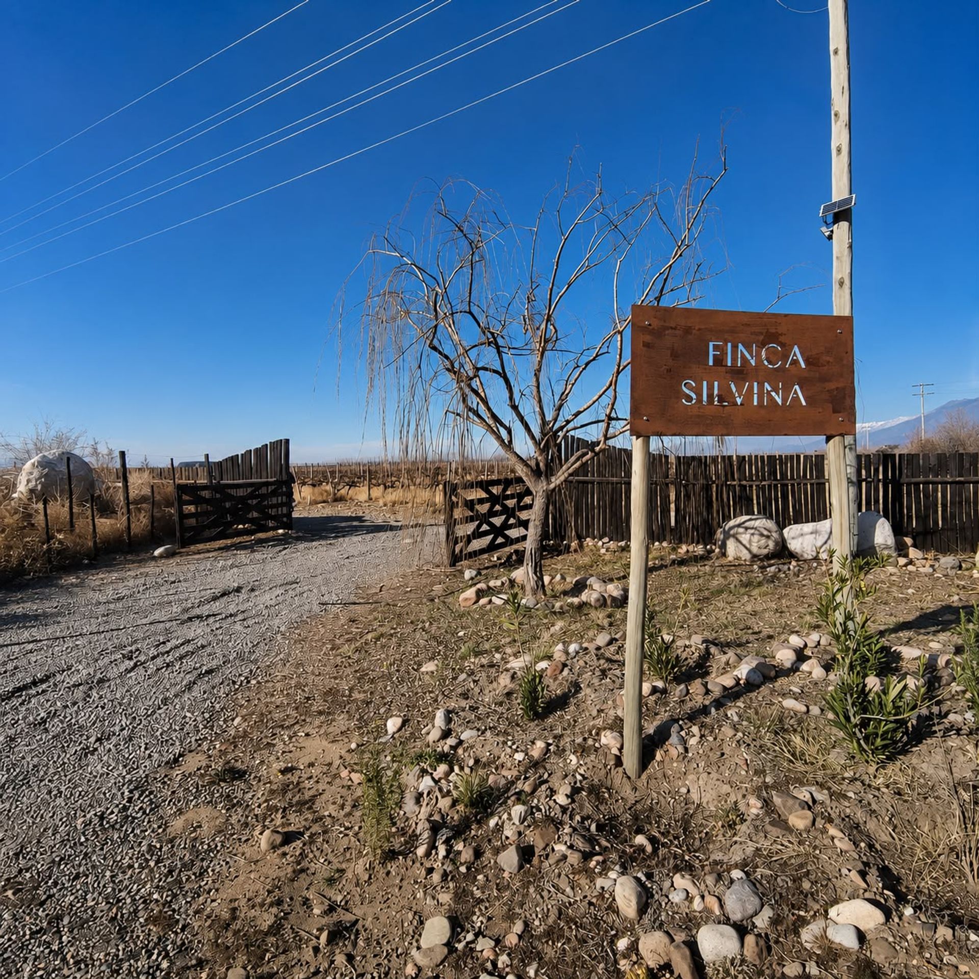Campo en Venta en Tunuyan, Mendoza