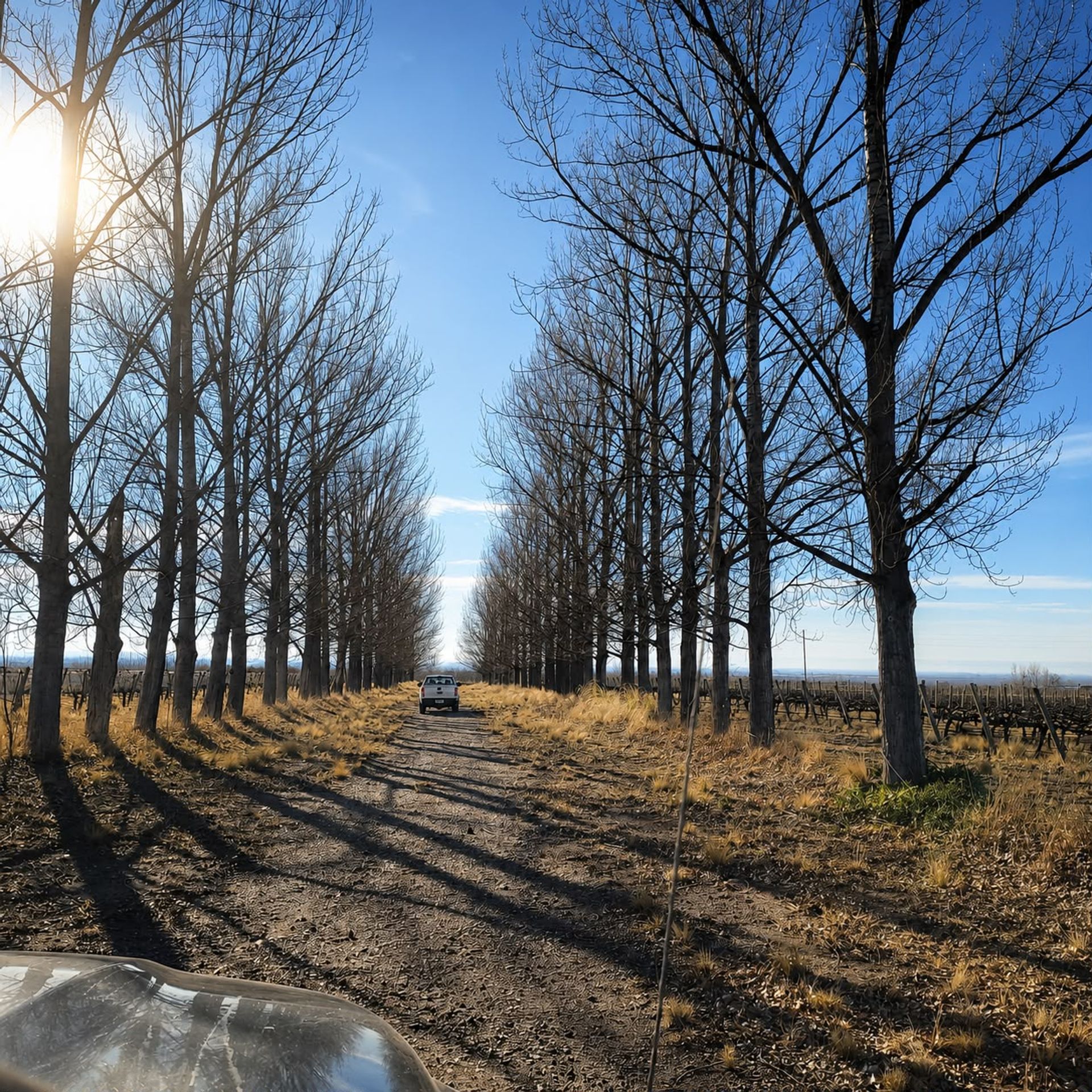 Campo en Venta en Tunuyan, Mendoza