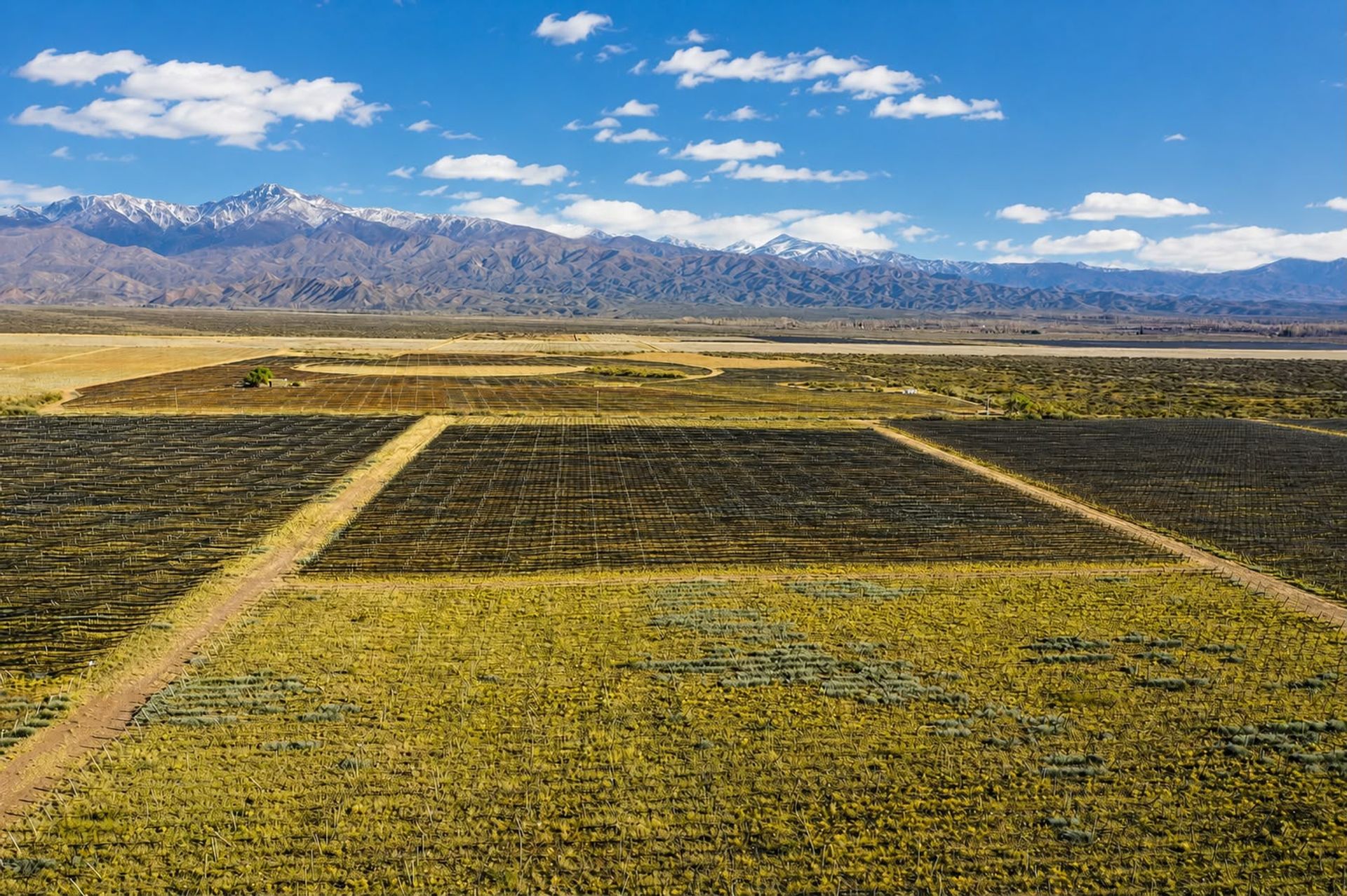 Campo en Venta en Tunuyan, Mendoza
