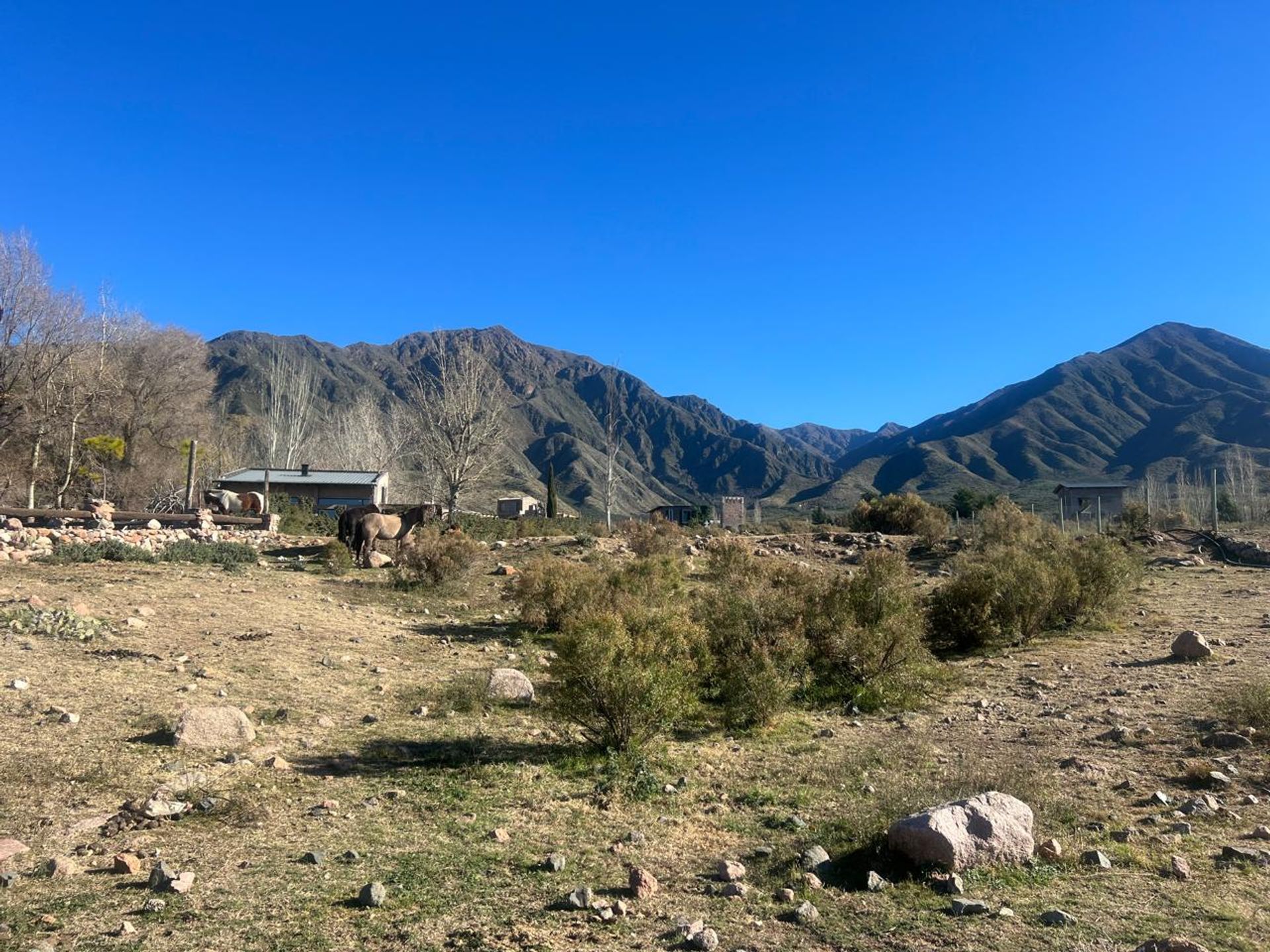 Lote en Venta en Lujan de Cuyo, Mendoza