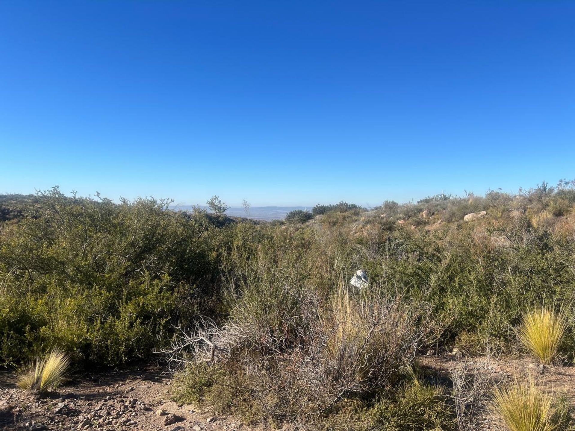Lote en Venta en Lujan de Cuyo, Mendoza