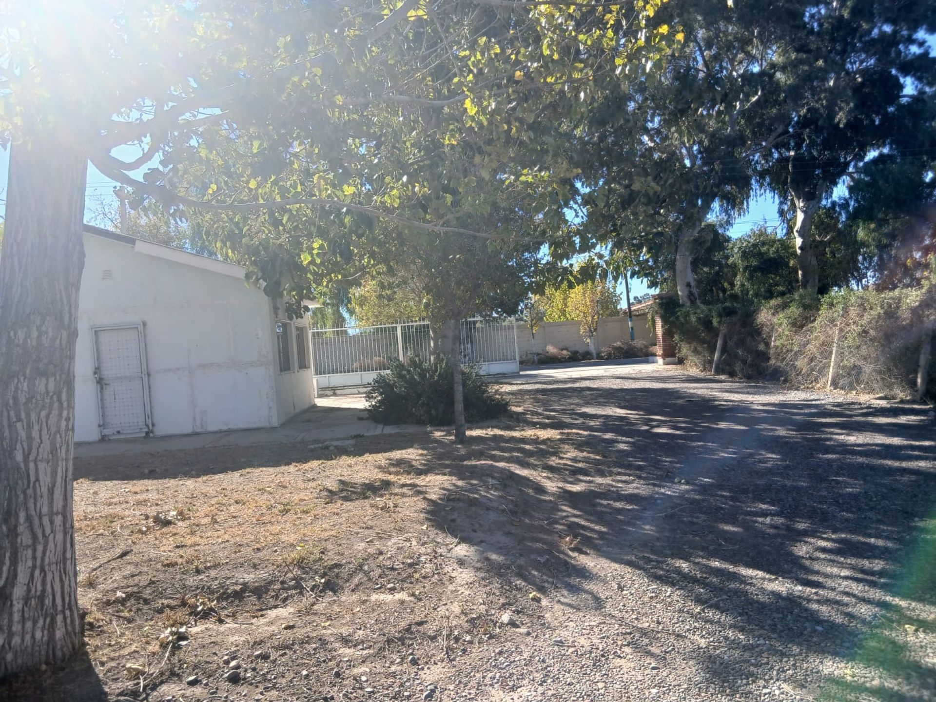 Galpon en Venta en Albardon, San Juan