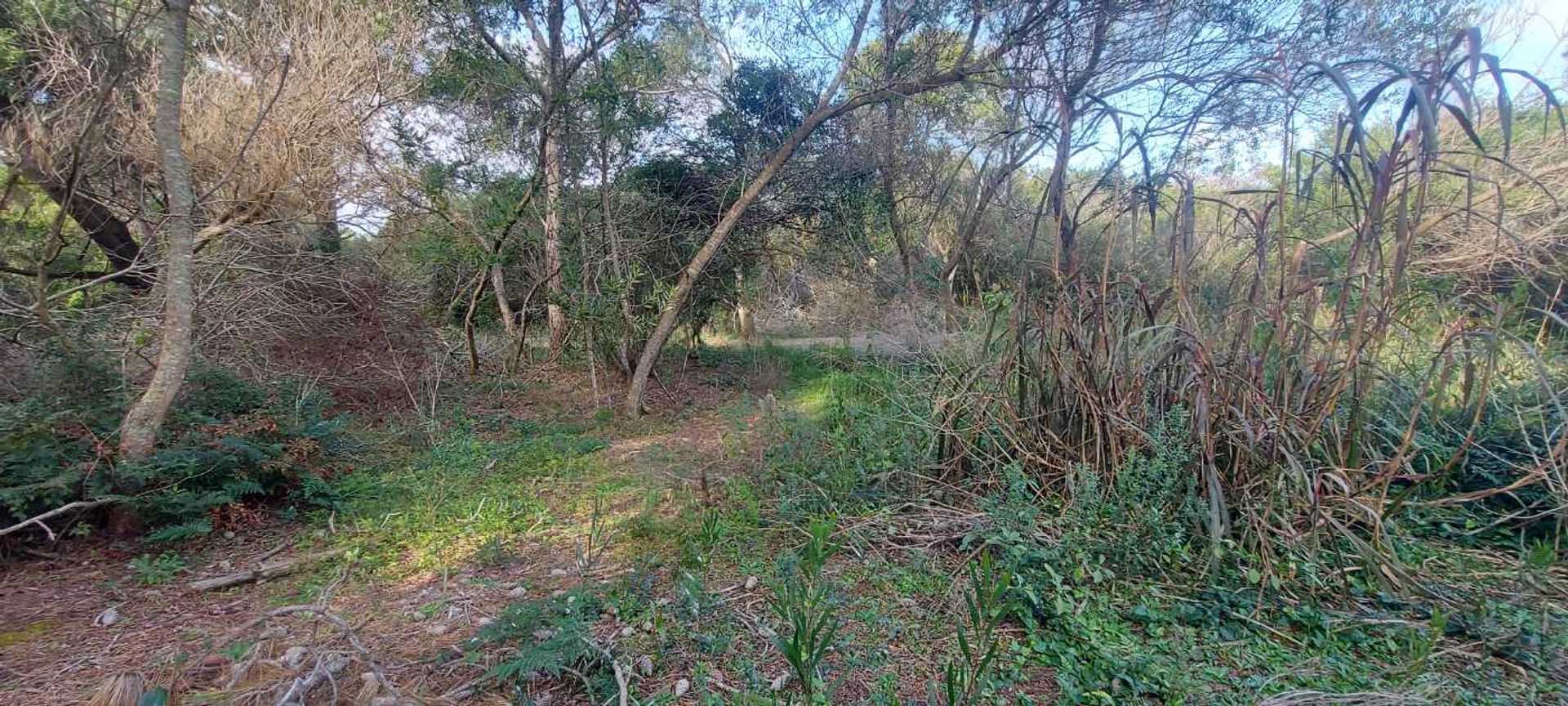 TERRENO EN VENTA A 400 M DEL MAR S. I. LA PEDRERA - 3