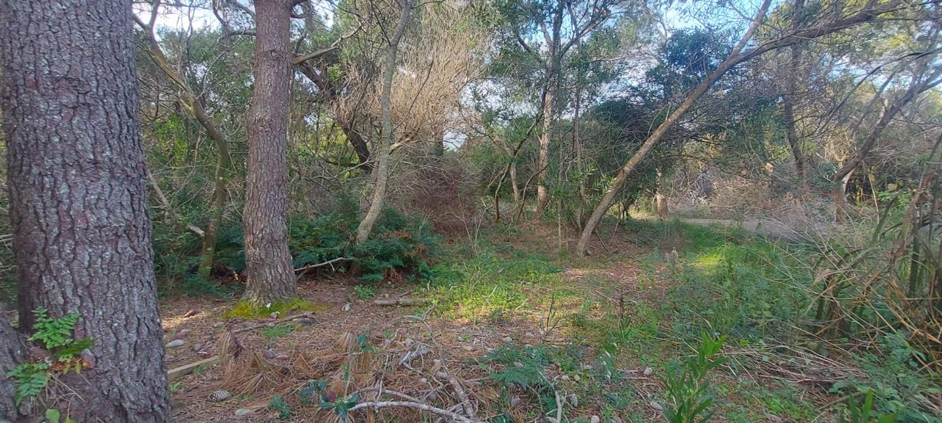 TERRENO EN VENTA A 400 M DEL MAR S. I. LA PEDRERA - 4