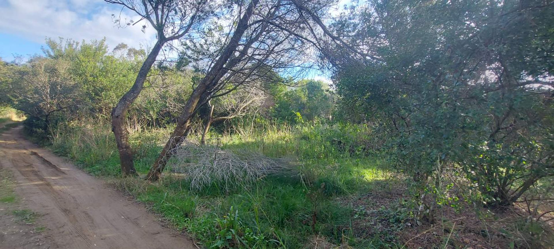 TERRENO EN VENTA A 400 M DEL MAR S. I. LA PEDRERA - 17