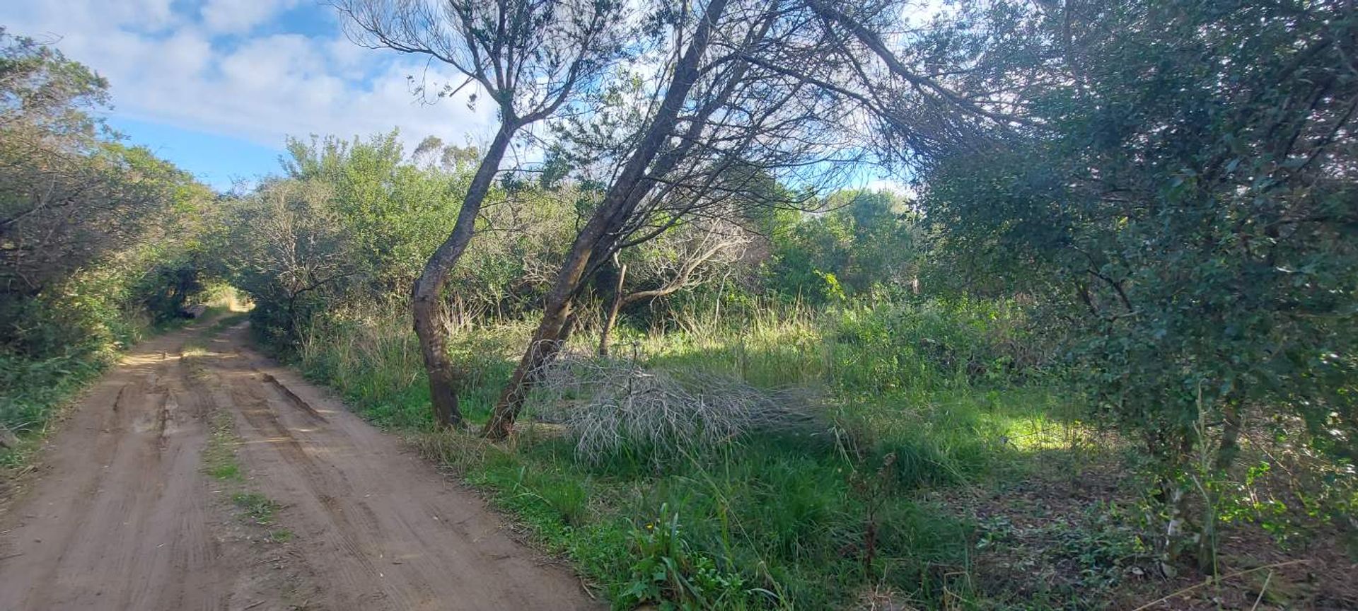 TERRENO EN VENTA A 400 M DEL MAR S. I. LA PEDRERA - 1