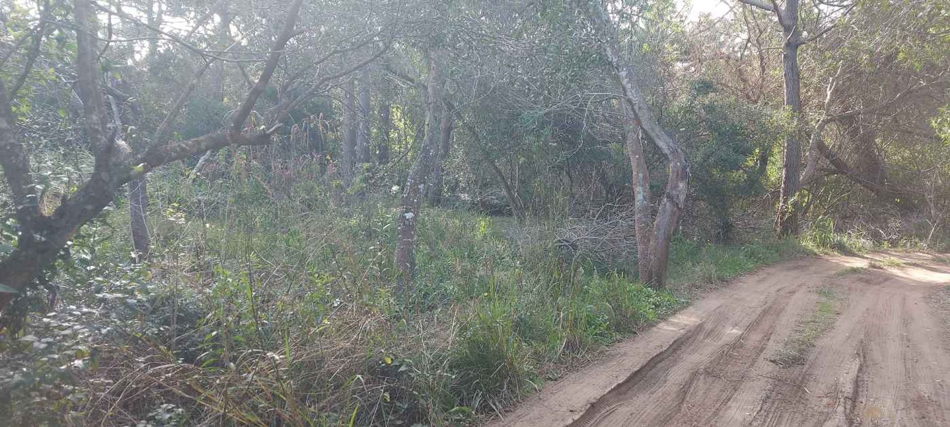 TERRENO EN VENTA A 400 M DEL MAR S. I. LA PEDRERA - 11