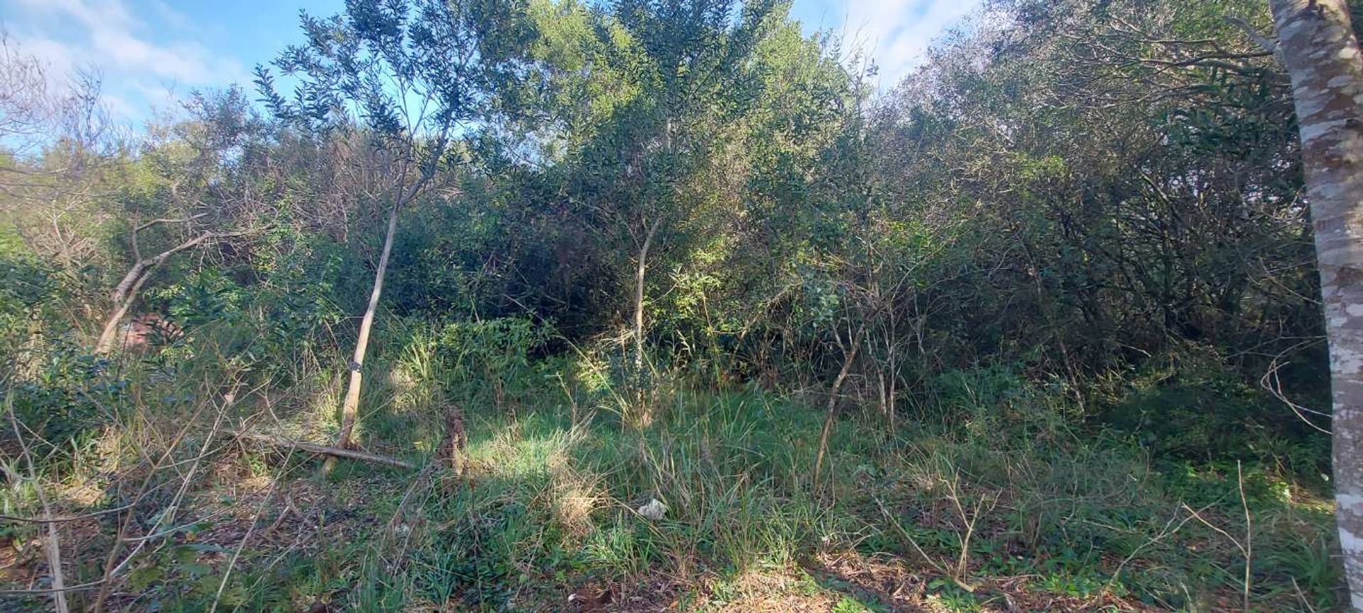 TERRENO EN VENTA A 400 M DEL MAR S. I. LA PEDRERA - 16