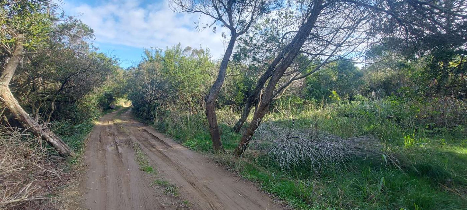 TERRENO EN VENTA A 400 M DEL MAR S. I. LA PEDRERA - 2