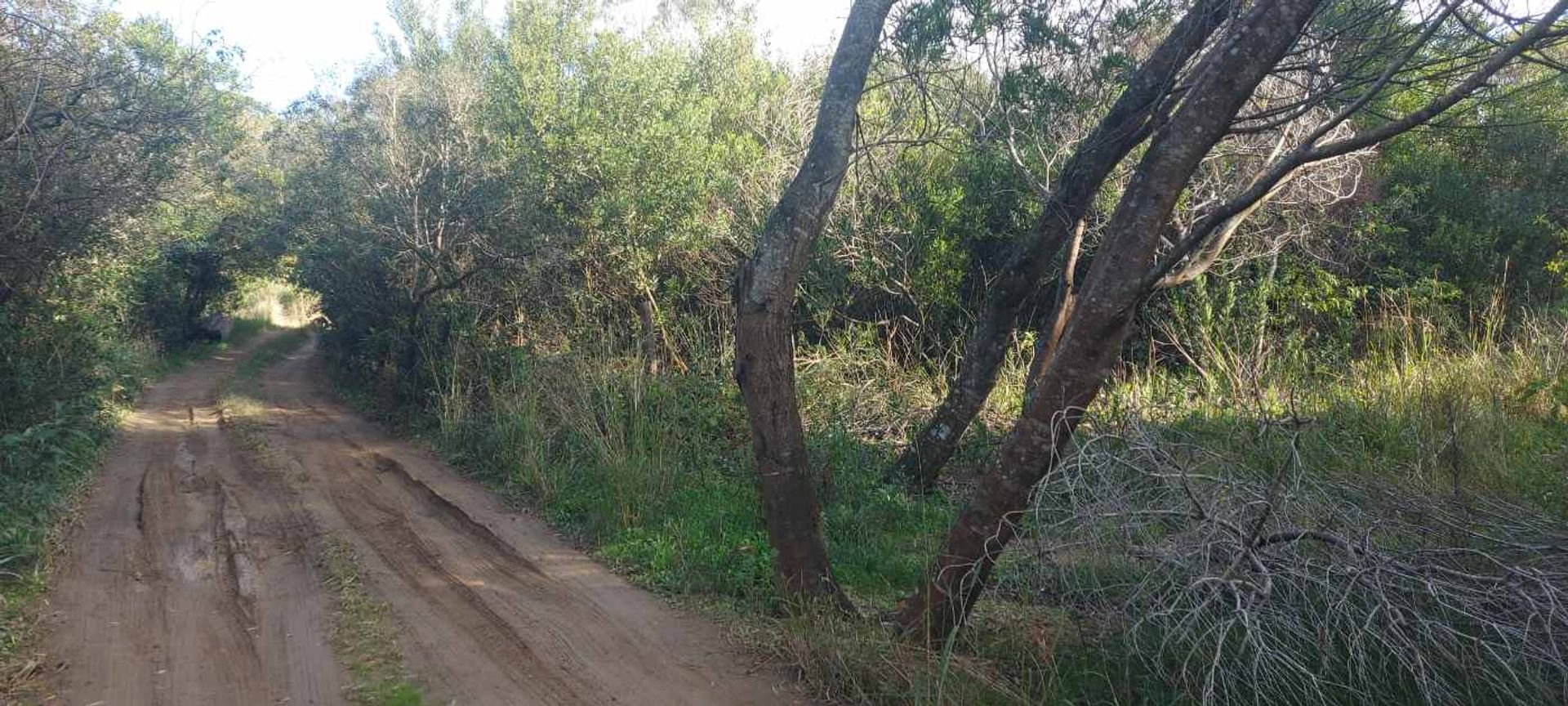 TERRENO EN VENTA A 400 M DEL MAR S. I. LA PEDRERA - 12
