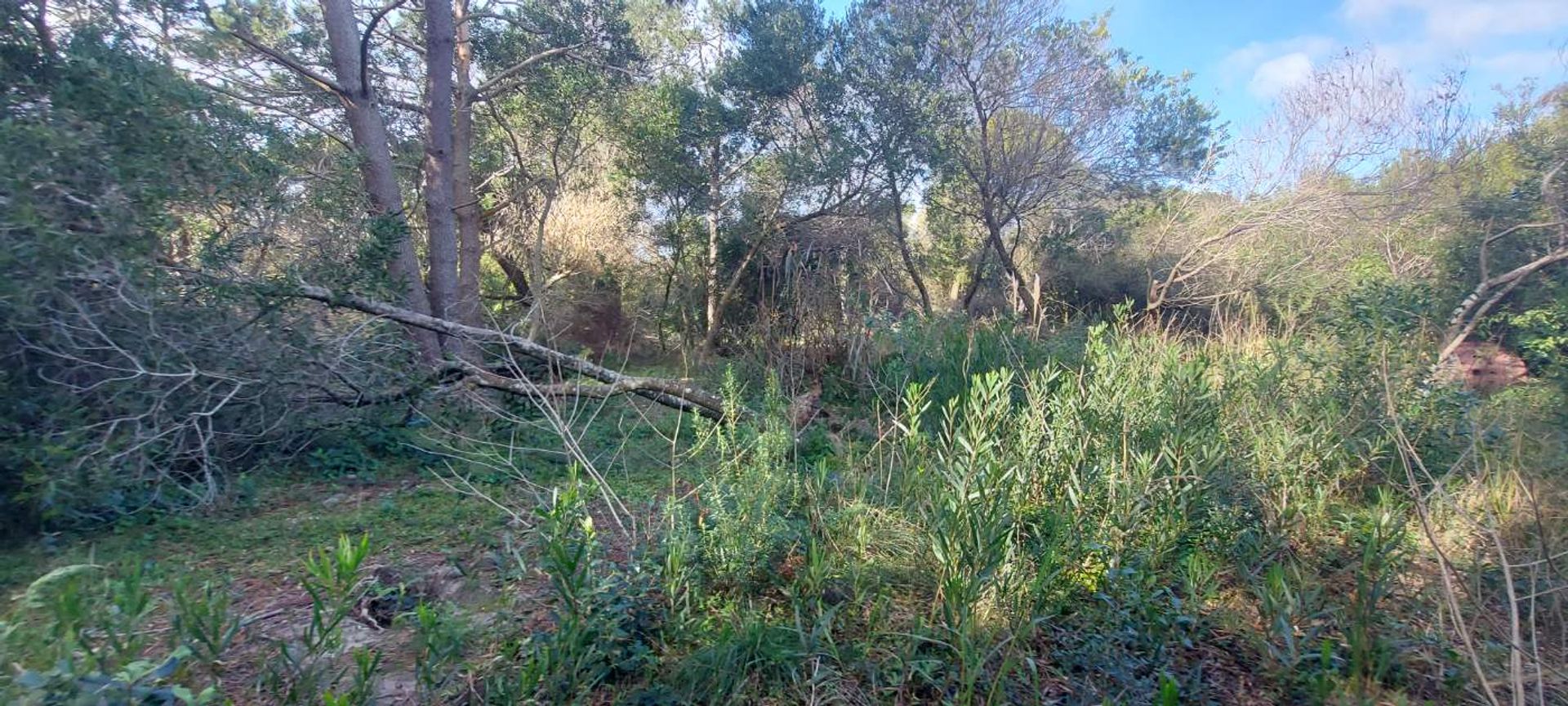TERRENO EN VENTA A 400 M DEL MAR S. I. LA PEDRERA - 14