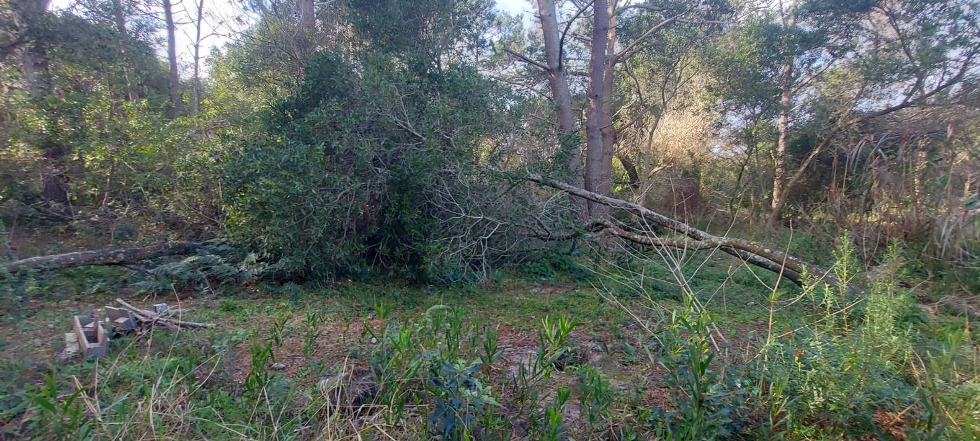 TERRENO EN VENTA A 400 M DEL MAR S. I. LA PEDRERA - 6