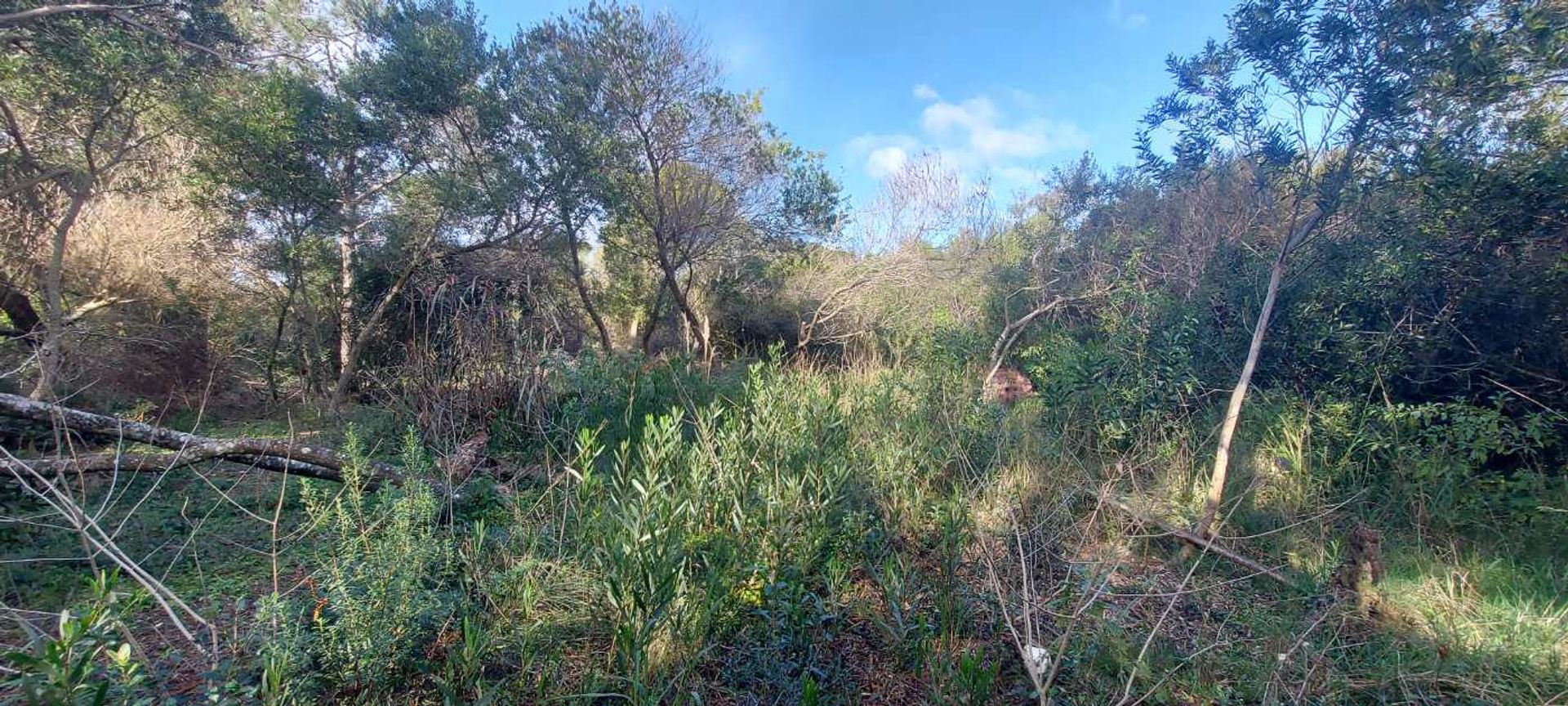 TERRENO EN VENTA A 400 M DEL MAR S. I. LA PEDRERA - 13