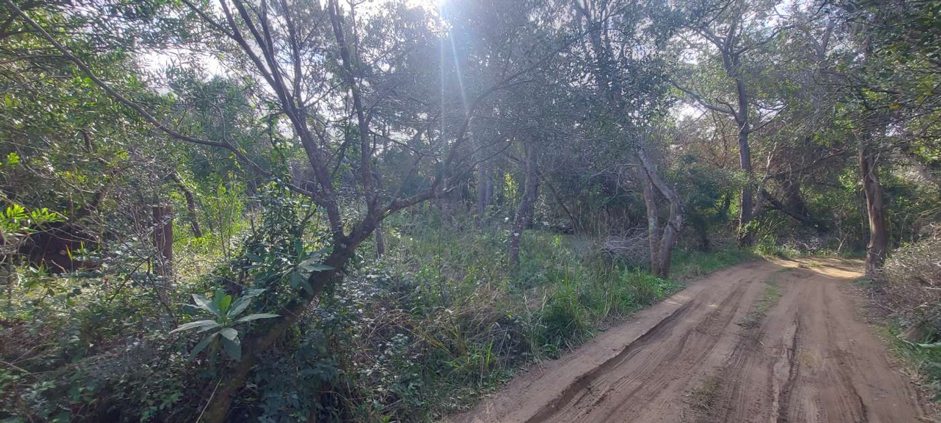 TERRENO EN VENTA A 400 M DEL MAR S. I. LA PEDRERA - 5