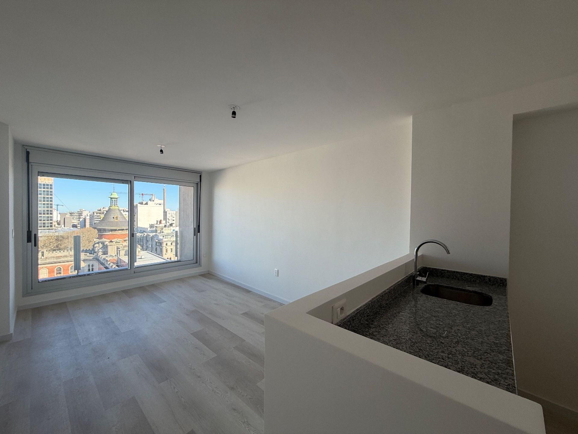 VENTA CORDON 1 dormitorio con Garage LUMINOSO - 2