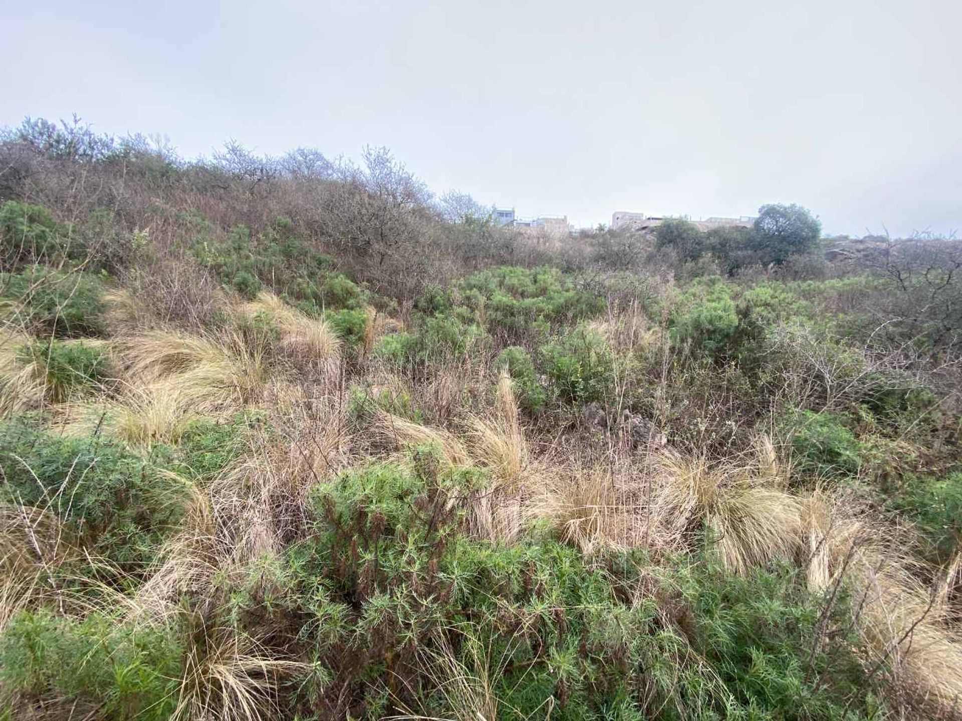 Lote en Venta en Punilla, Cordoba