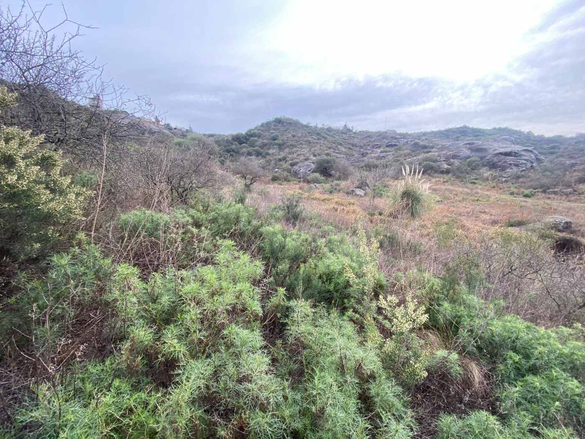 Lote en Venta en Punilla, Cordoba