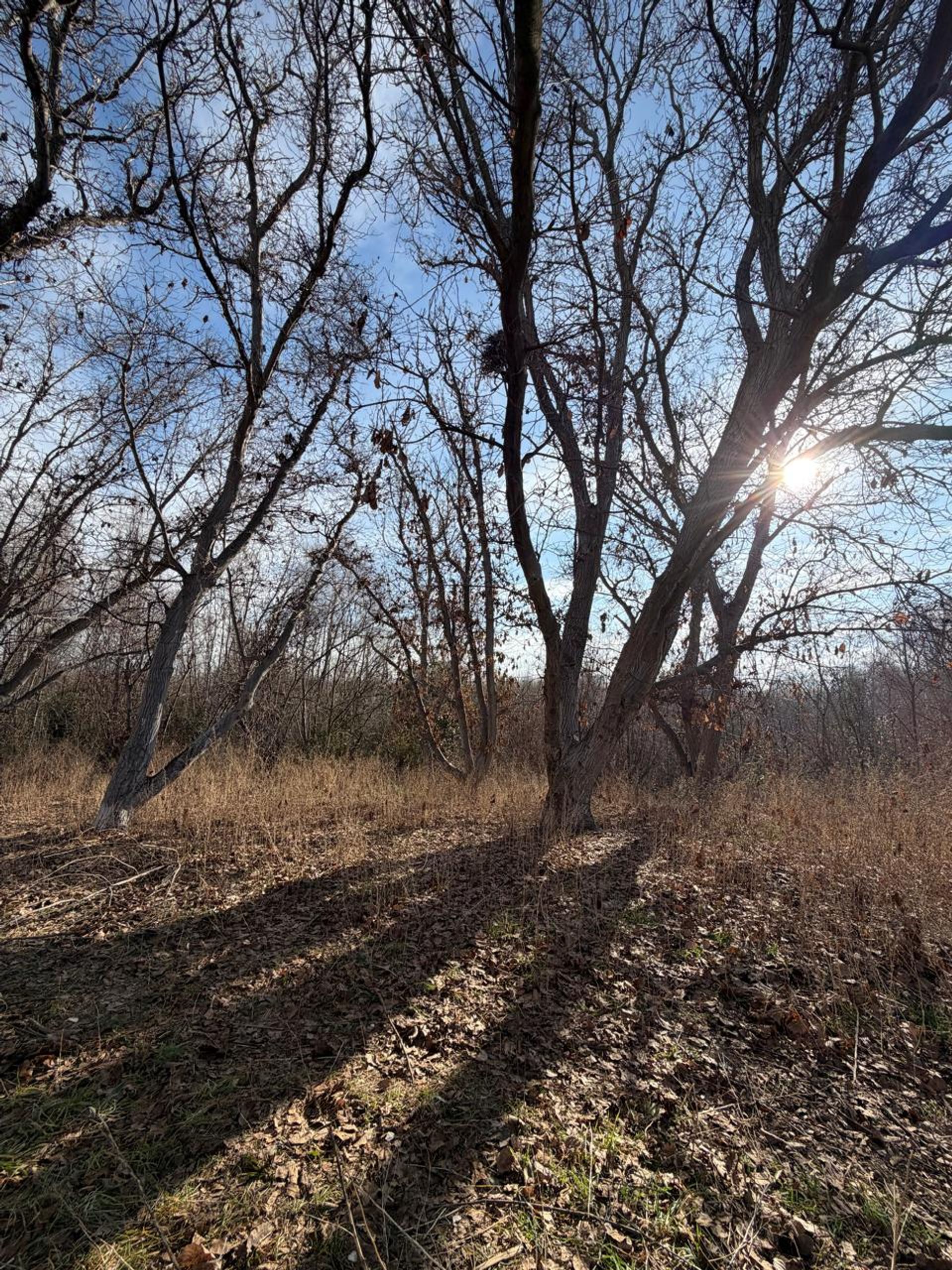 Lote en Venta en Tunuyan, Mendoza