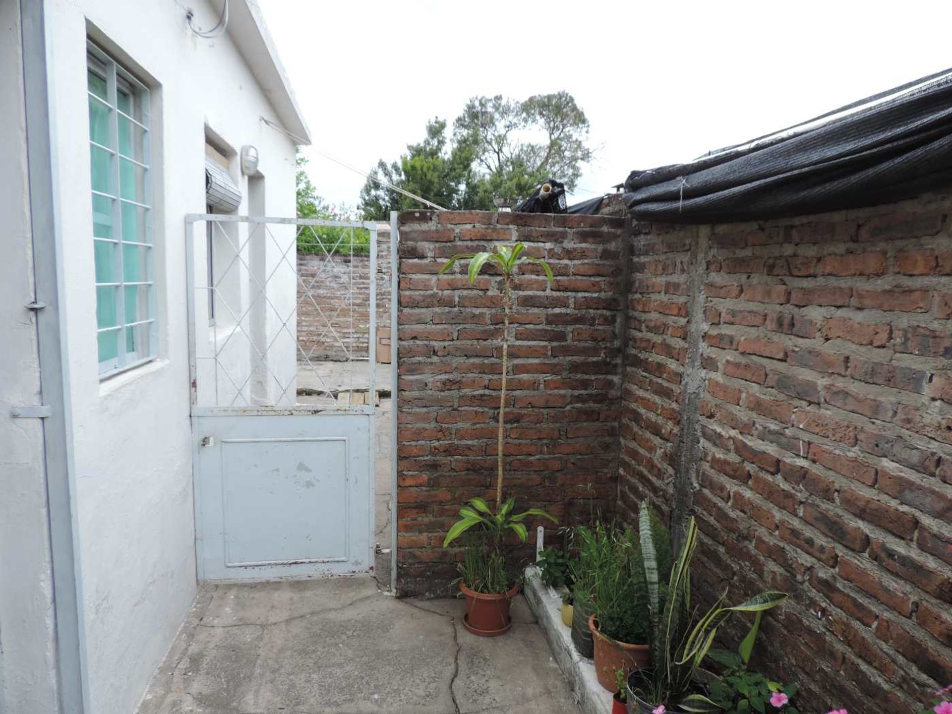 Apartamento de 1 dormiorio con ingreso por pasillo - 13