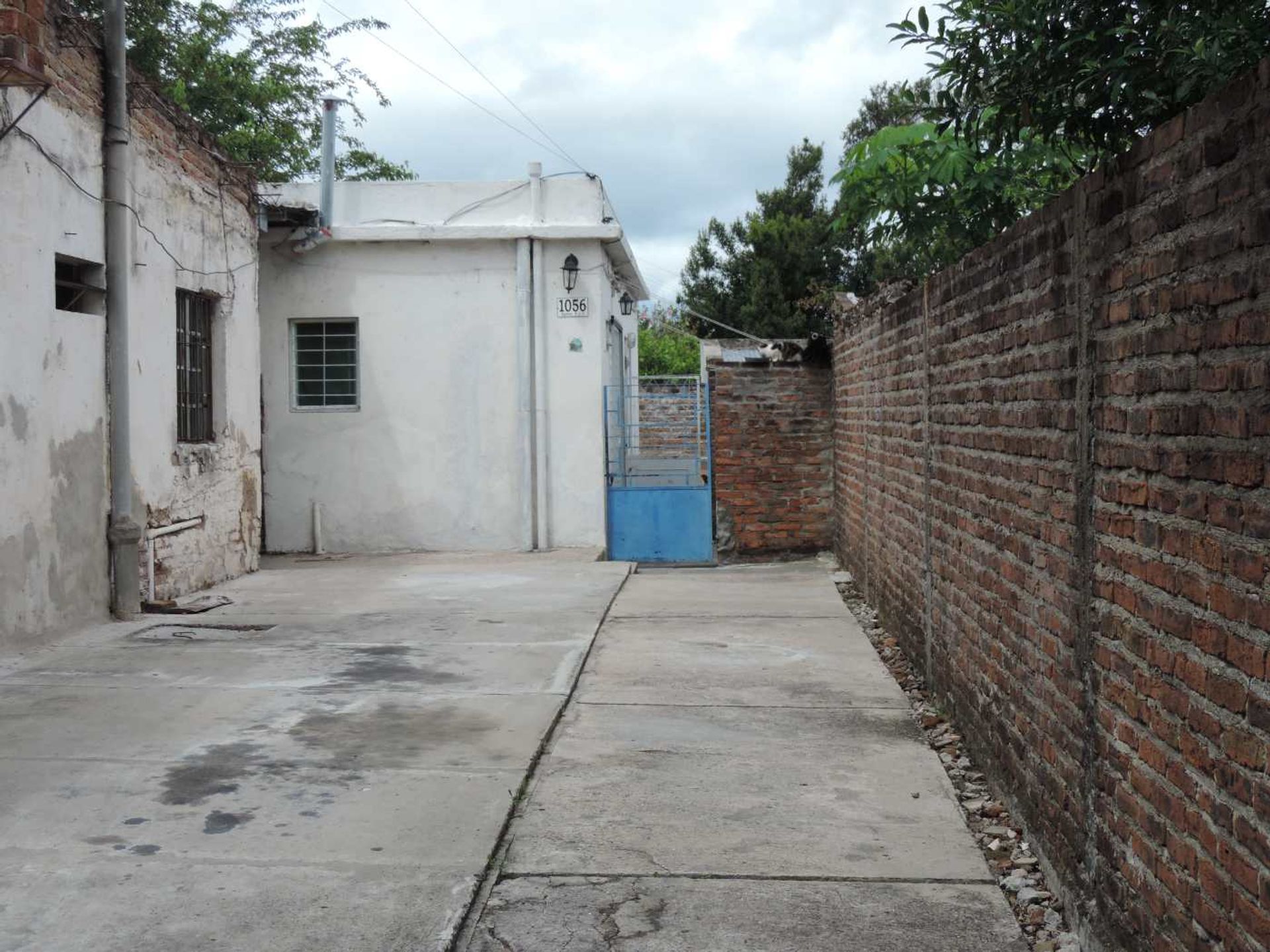 Apartamento de 1 dormiorio con ingreso por pasillo - 15