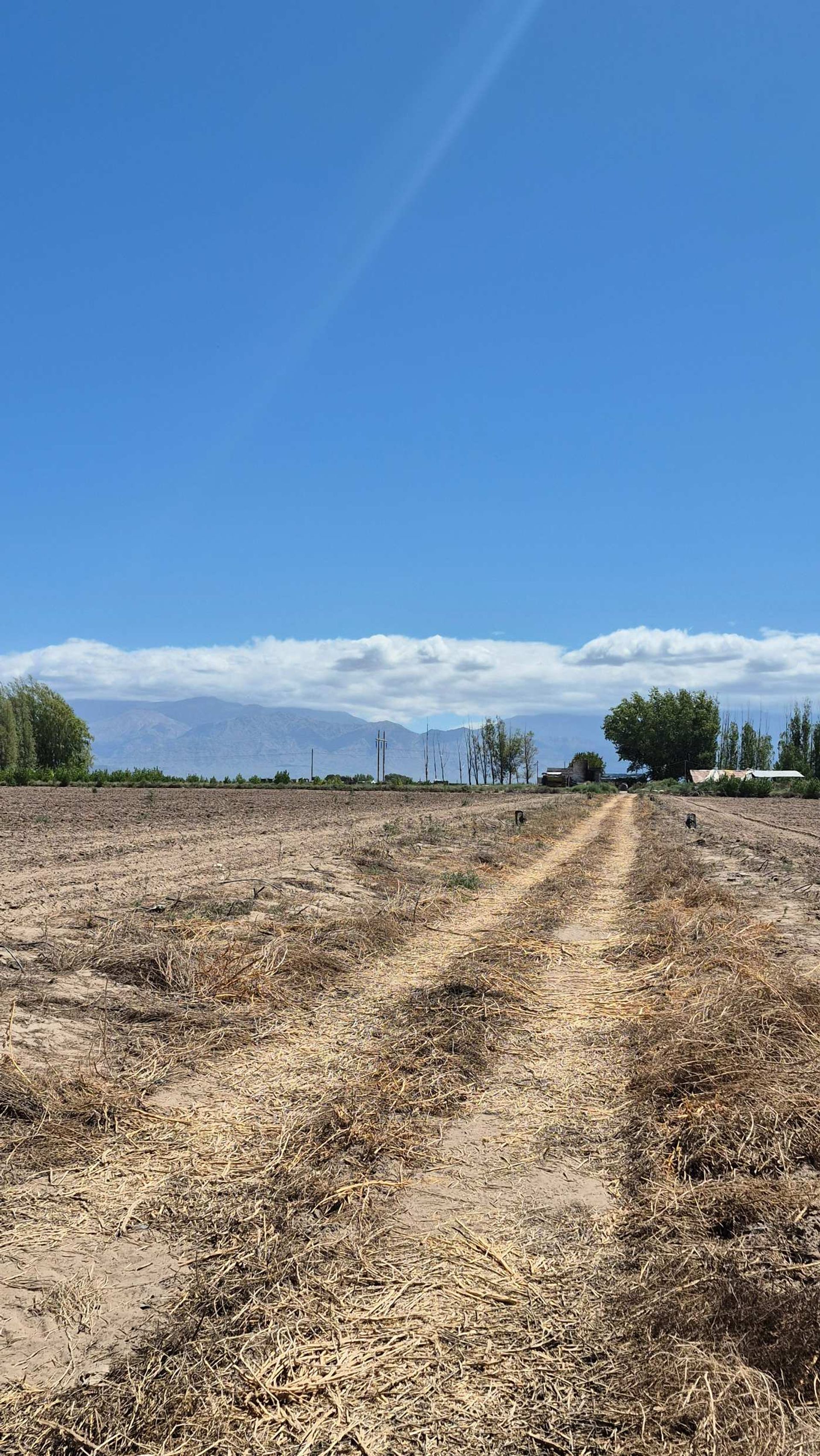Campo en Venta en San Carlos, Mendoza