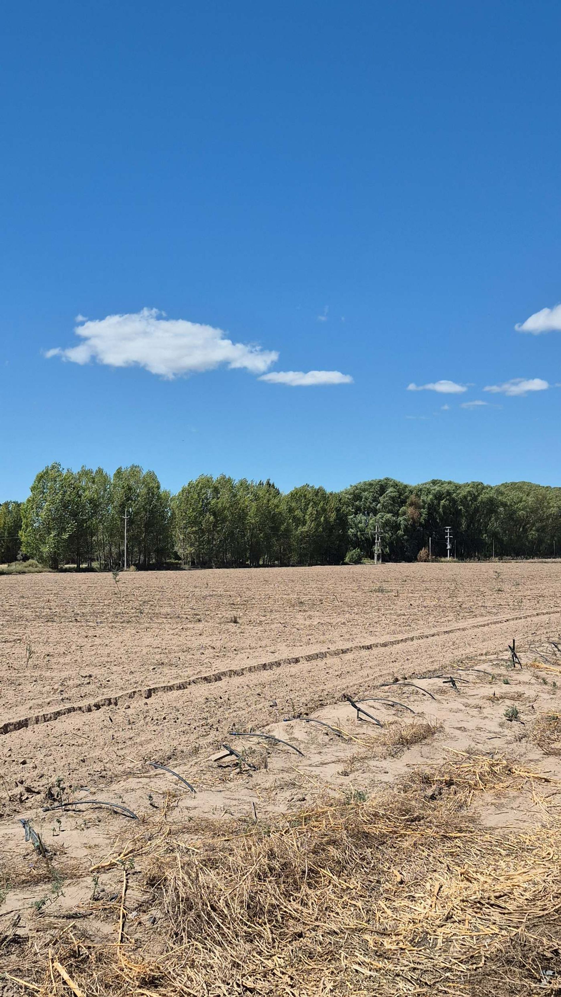 Campo en Venta en San Carlos, Mendoza