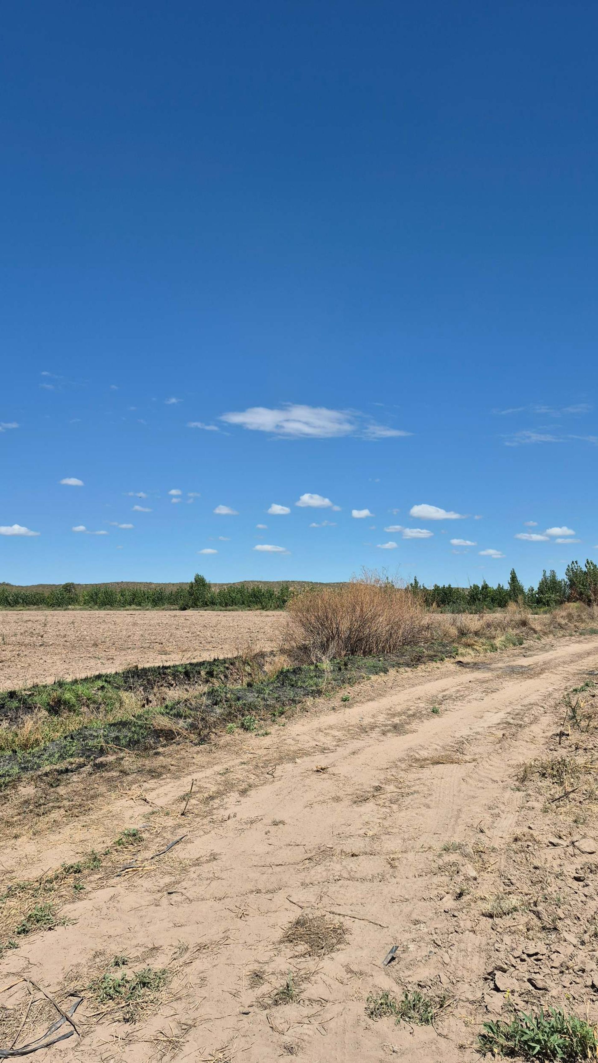 Campo en Venta en San Carlos, Mendoza