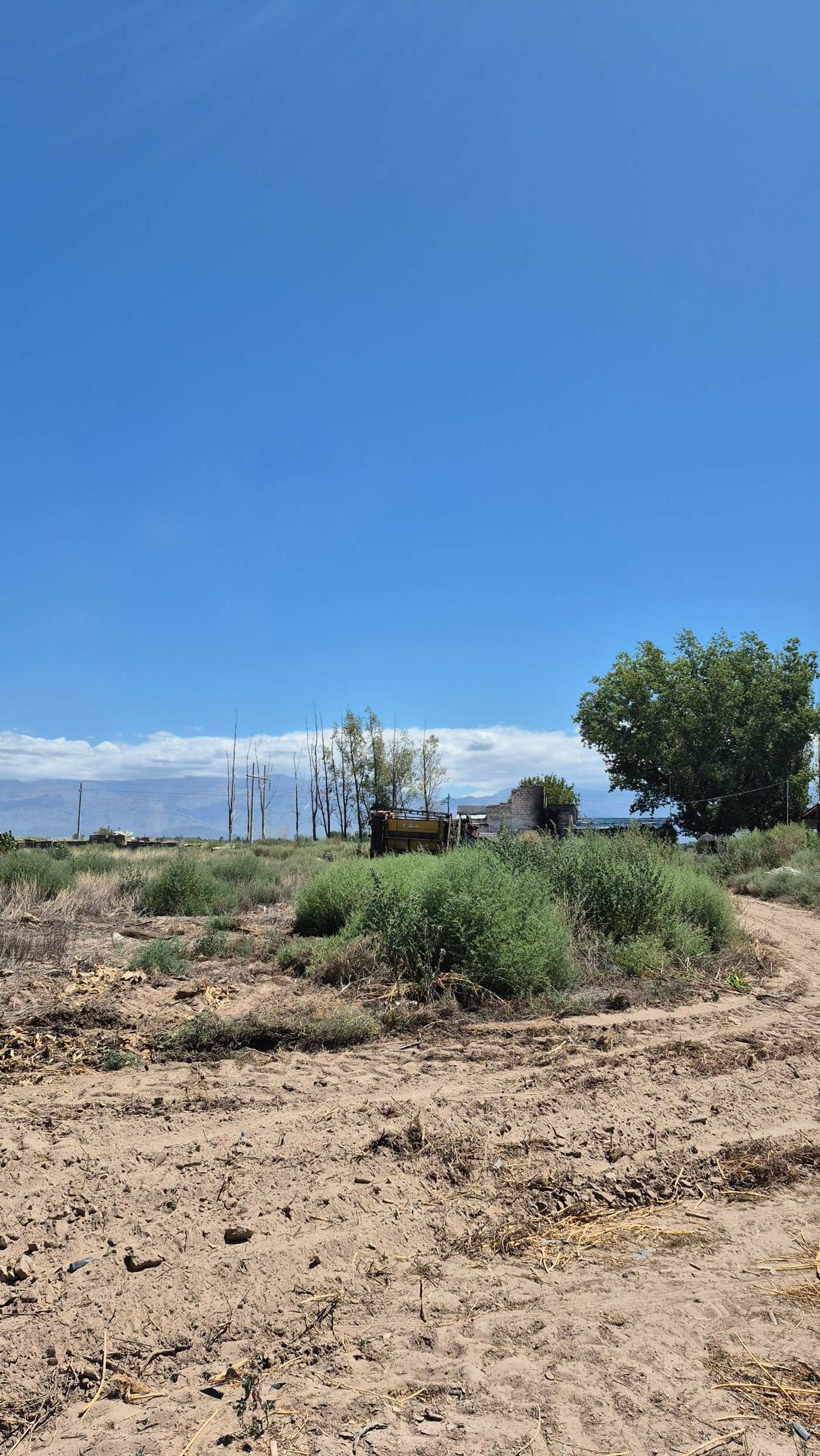 Campo en Venta en San Carlos, Mendoza