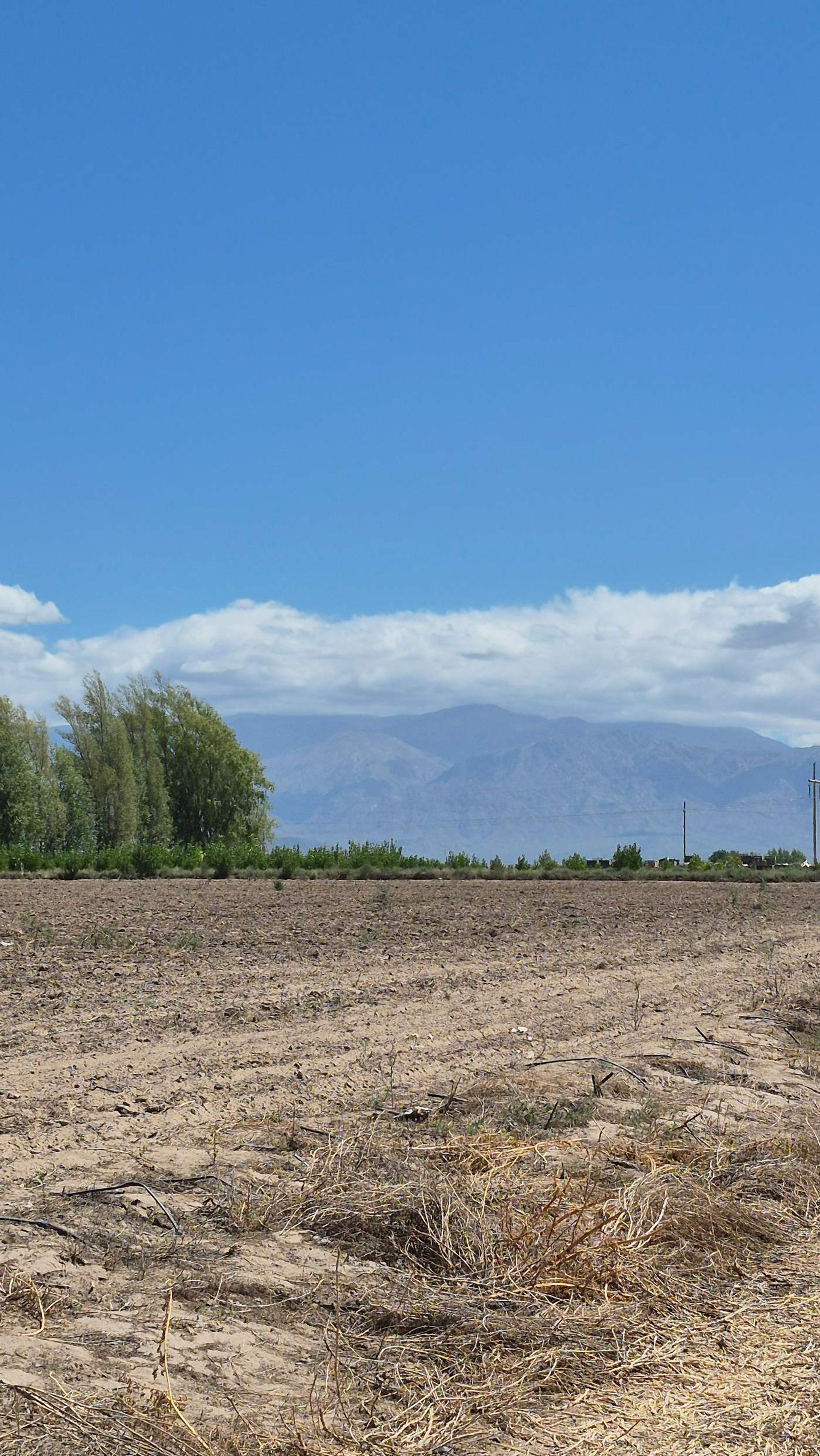 Campo en Venta en San Carlos, Mendoza