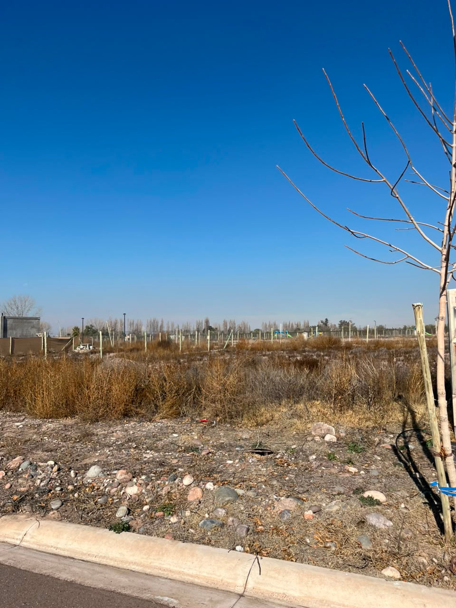 Lote en Venta en Lujan de Cuyo, Mendoza
