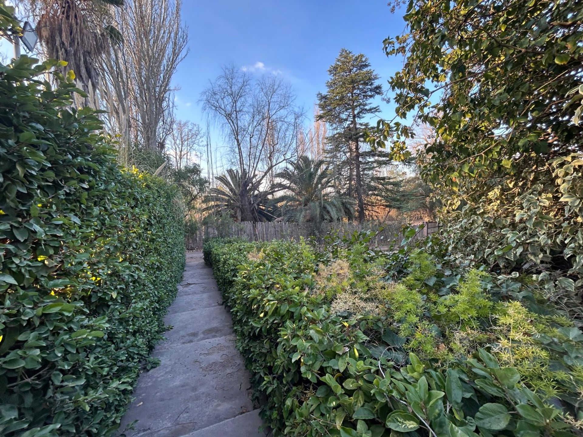 Casa Quinta en Venta en Maipu, Mendoza