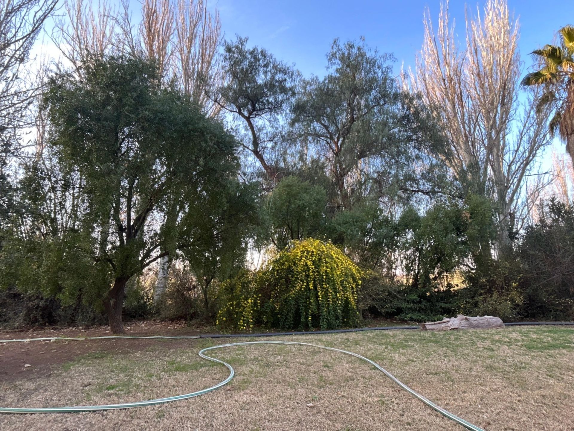 Casa Quinta en Venta en Maipu, Mendoza