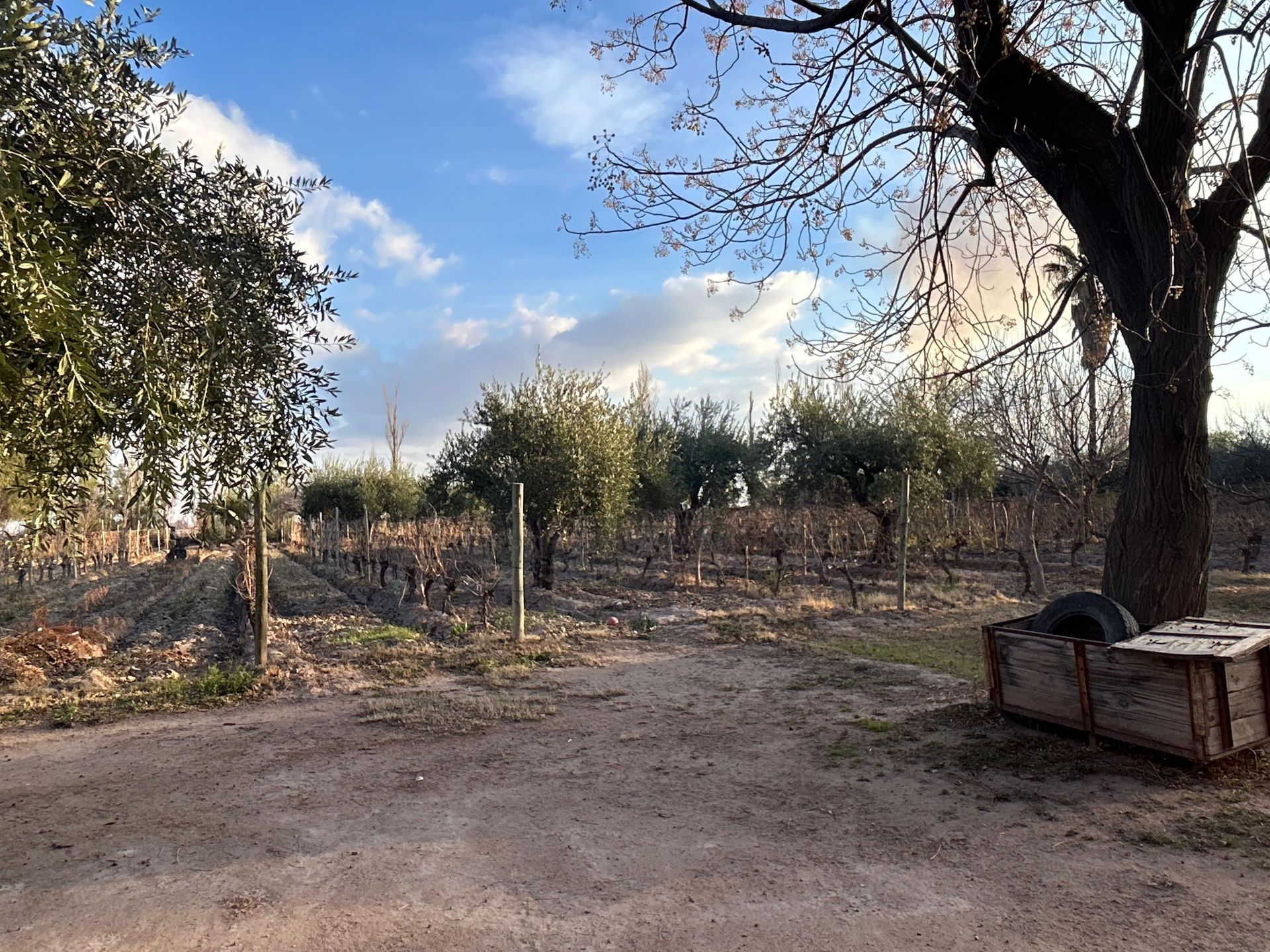 Casa Quinta en Venta en Maipu, Mendoza